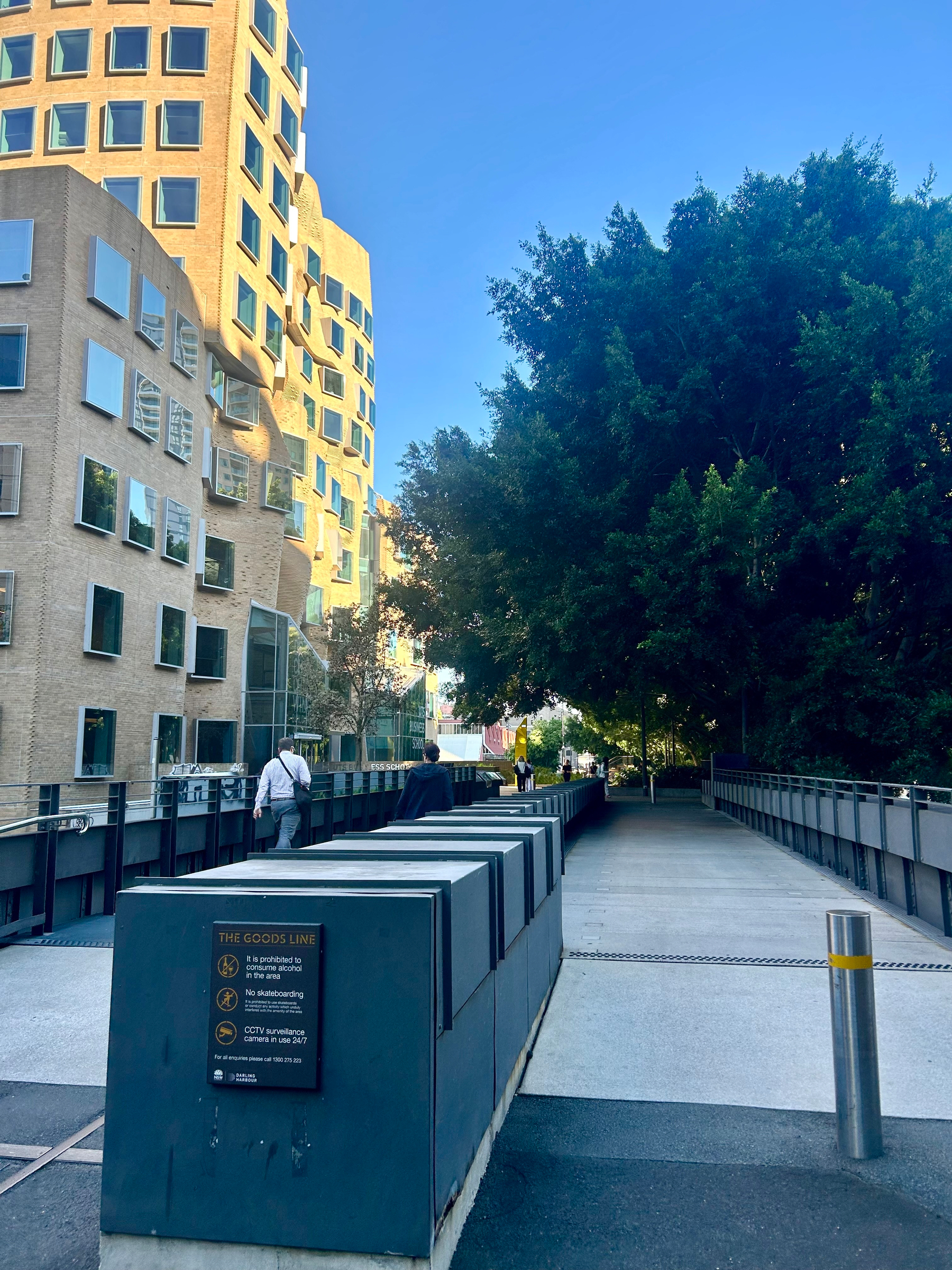 Wide pedestrian pathway with sunlight illuminating a tall yellow UTS building to the left, trees creating a canopy on the right, clear blue sky, with a few pedestrians visible. It’s the Goods Line in Ultimo, Sydney. 