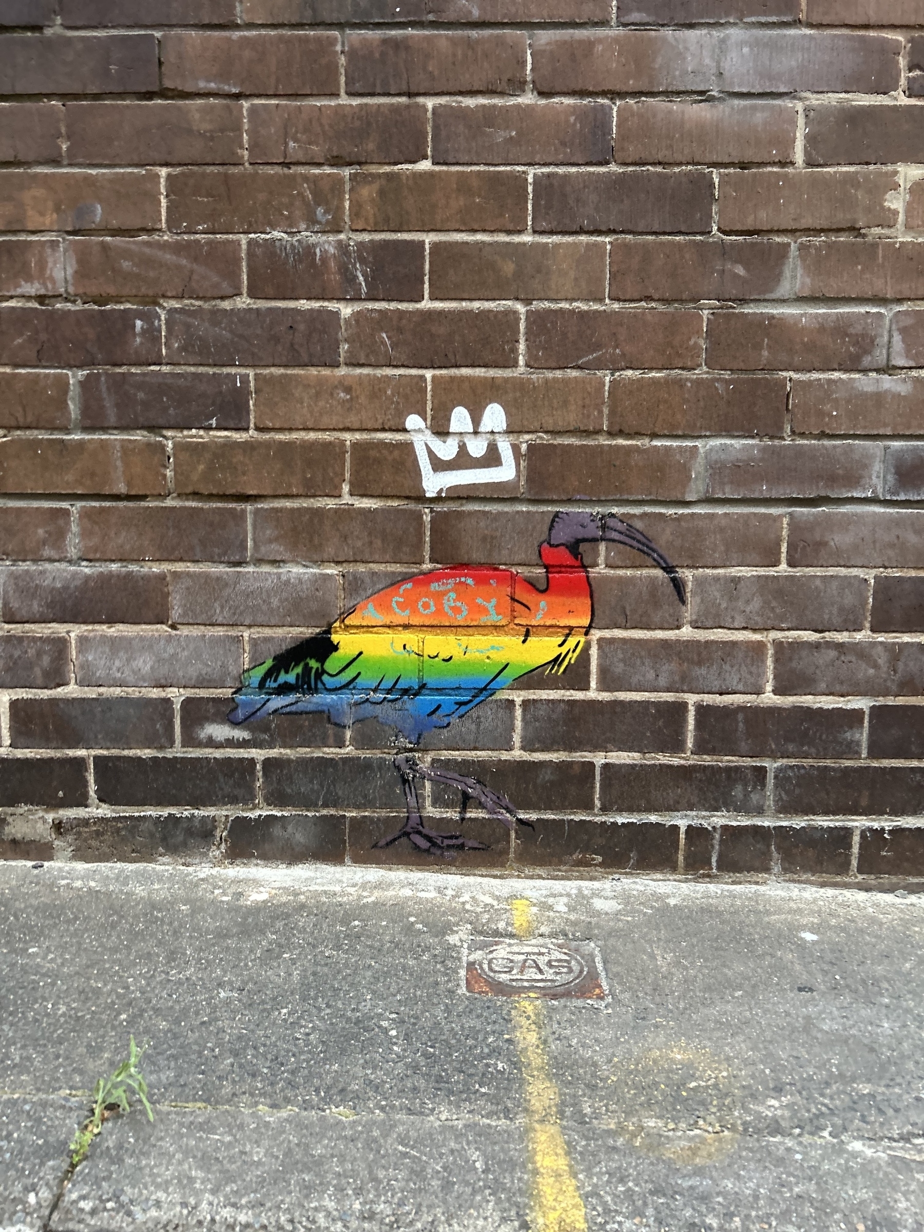 A colorful graffiti ibis is painted on a brick wall above a gas utility cover.