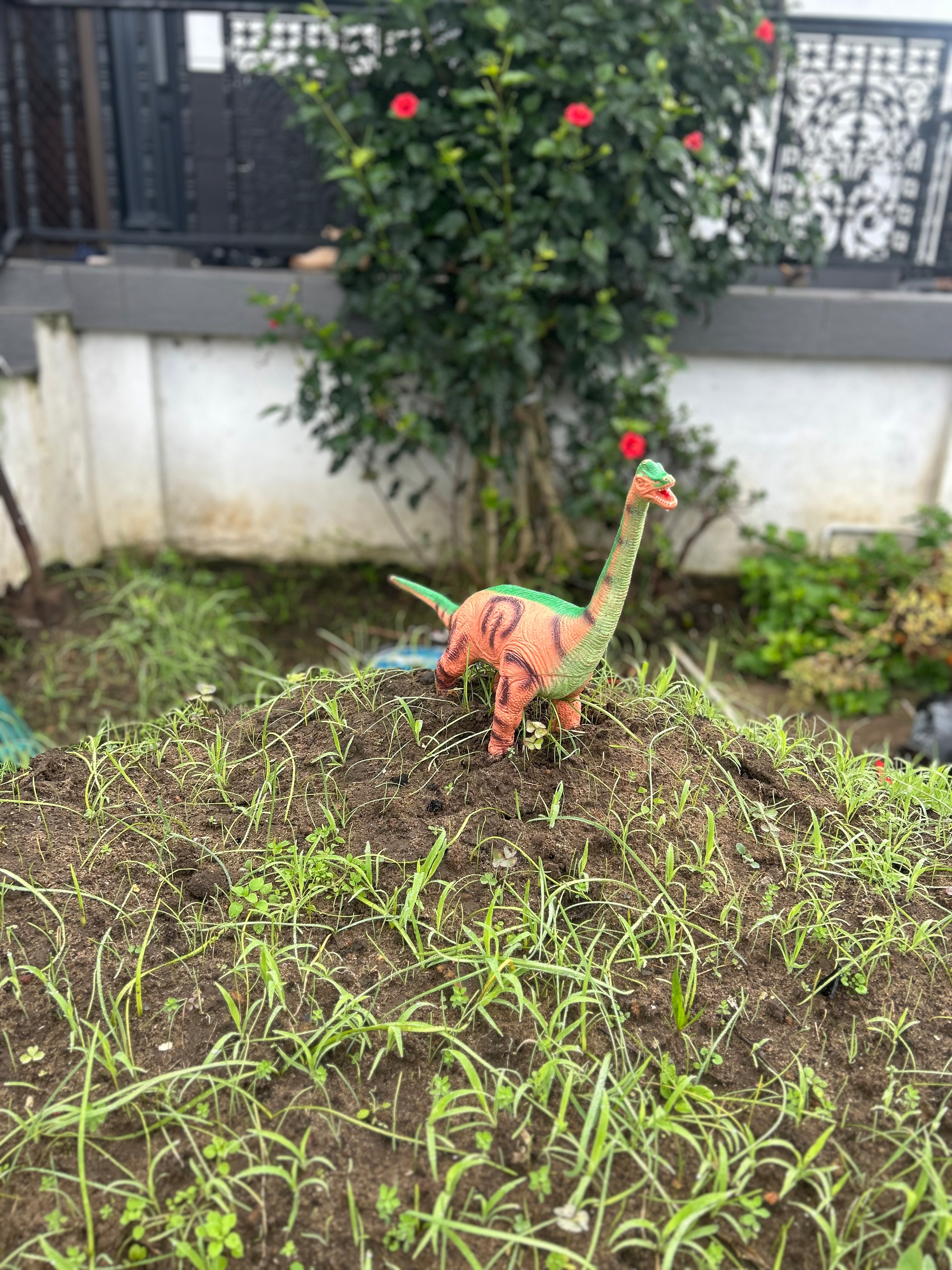 A small toy dinosaur is placed on a mound of soil with young plants growing, set against a background of a garden and a building wall.