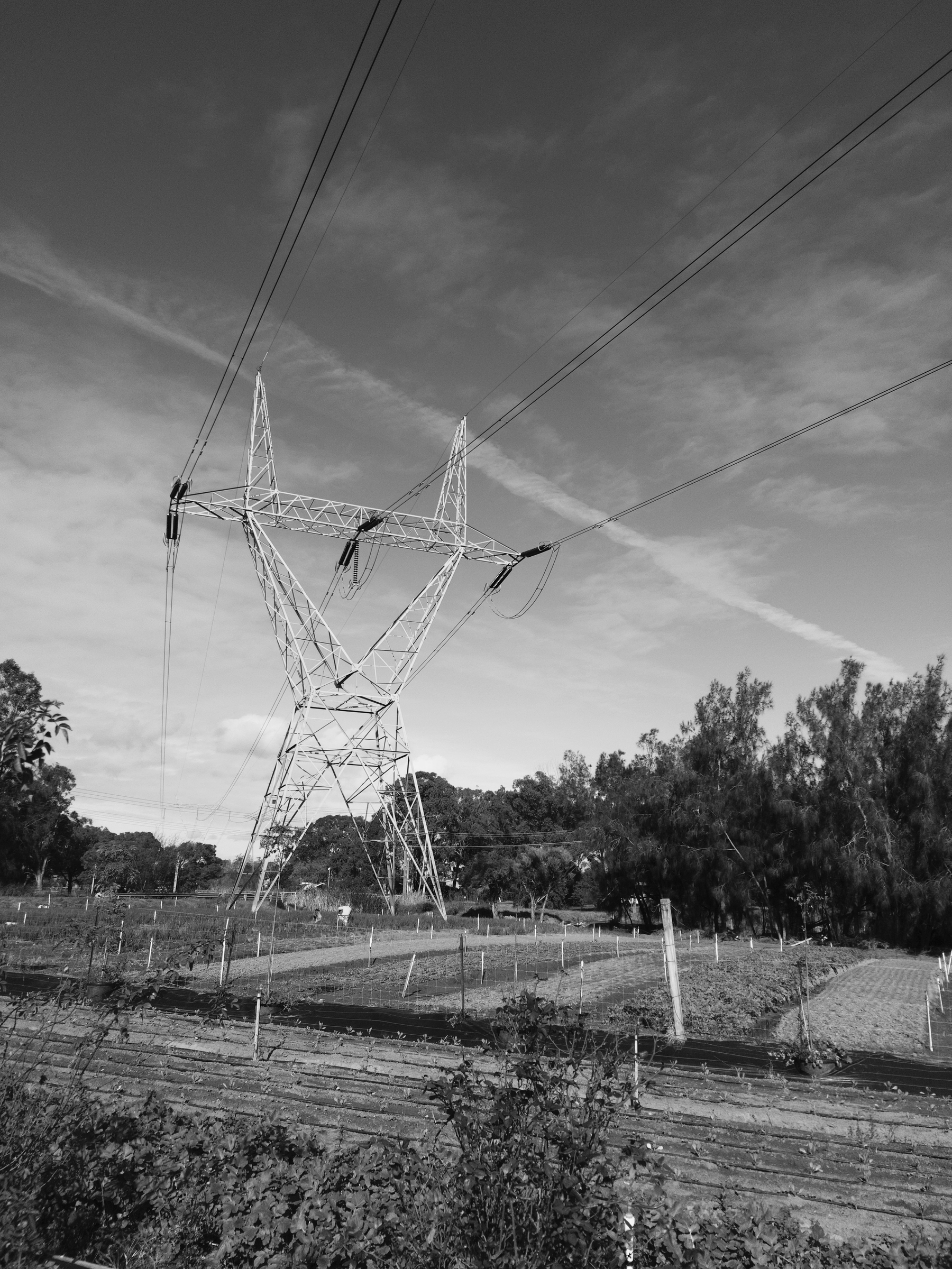 A large electricity pylon stands amidst an open field with trees in the background and power lines stretching across the sky.