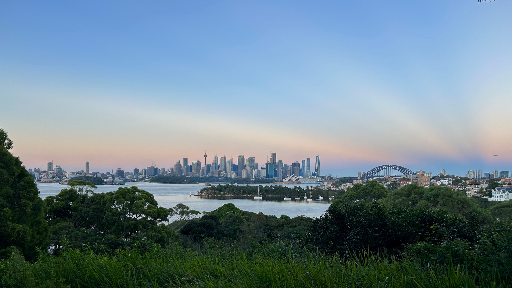 A panoramic view of a cityscape features a skyline with tall buildings, a bay with a bridge, and lush greenery in the foreground.