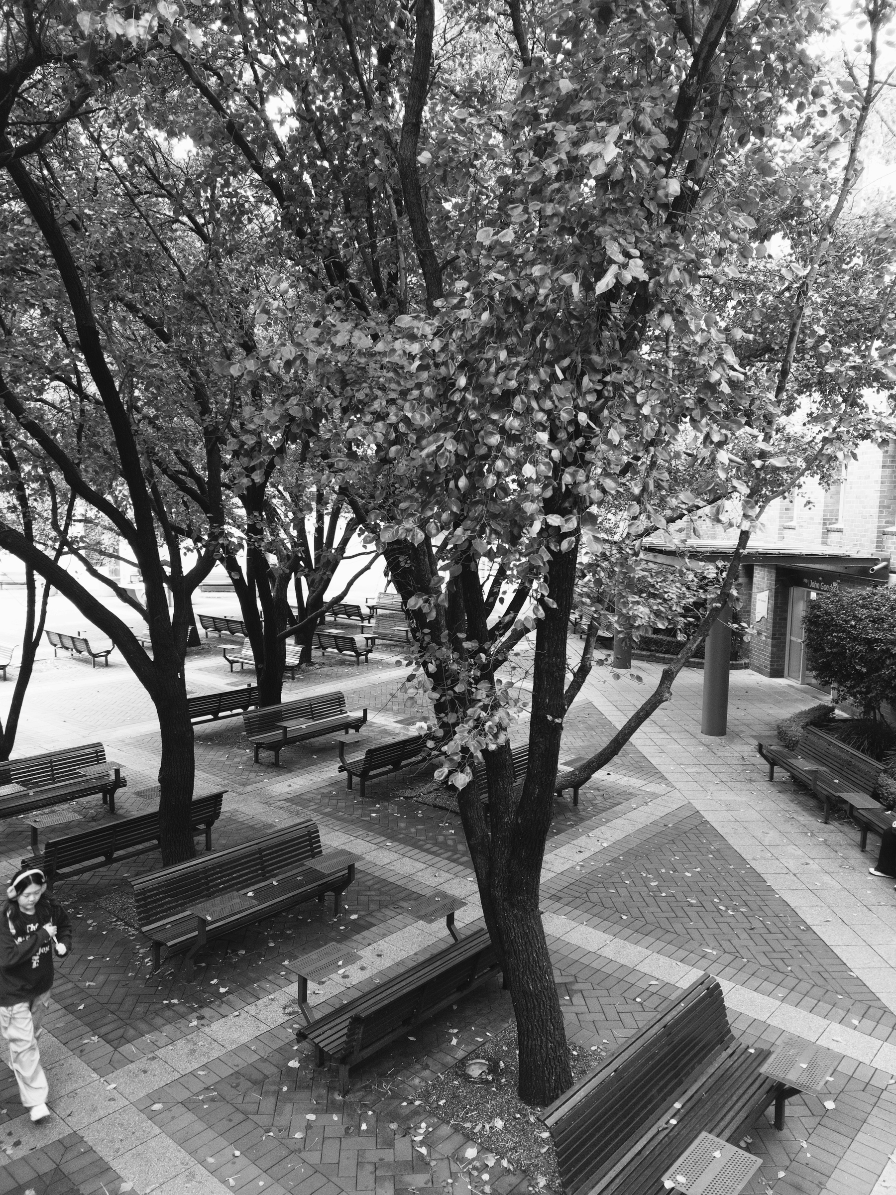 A quiet outdoor seating area with numerous benches arranged around trees and a person walking along the paved pathway.