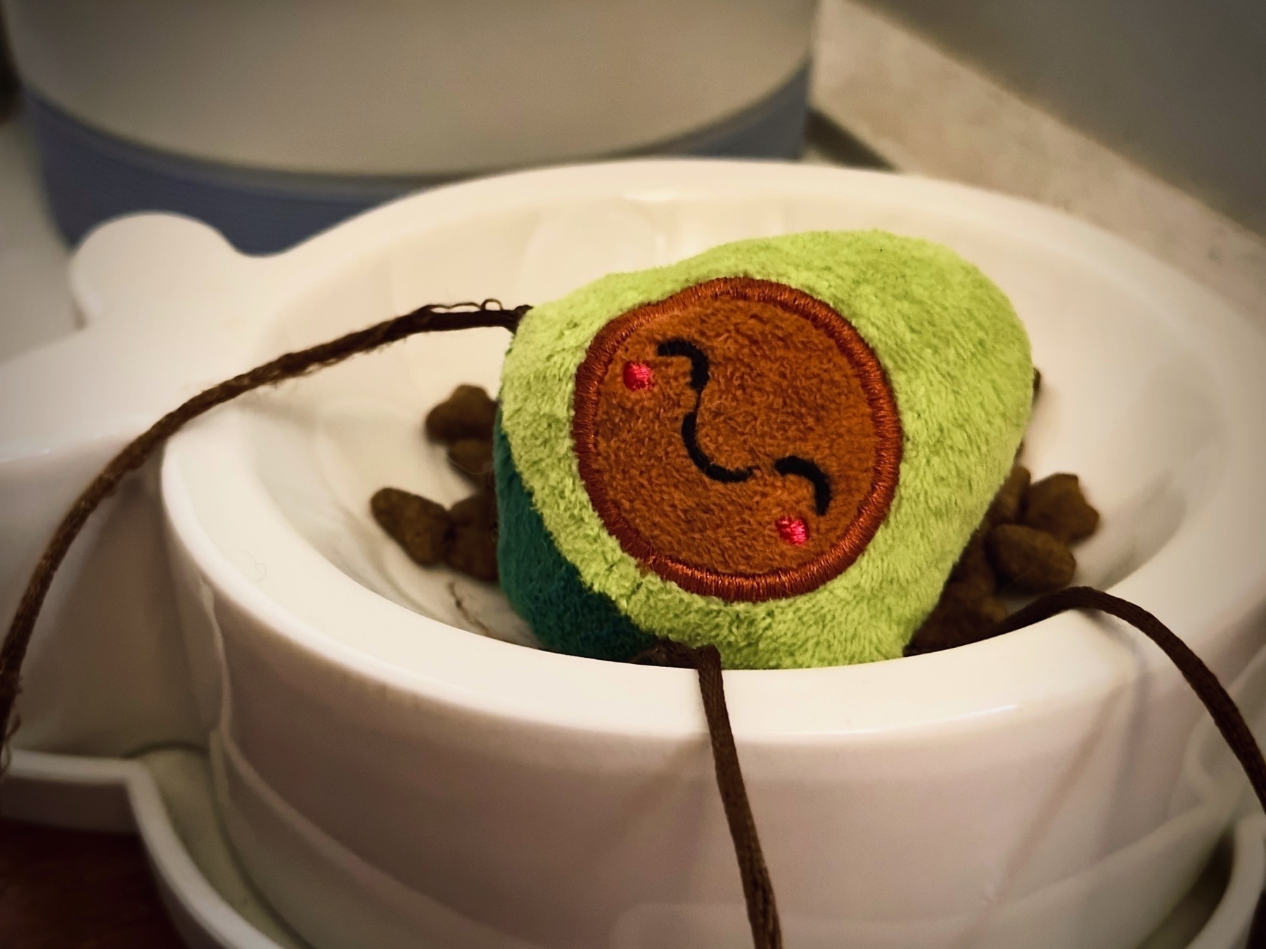 A small plush avocado smilie face resting in an cat’s empty bowl… a message of sorts.