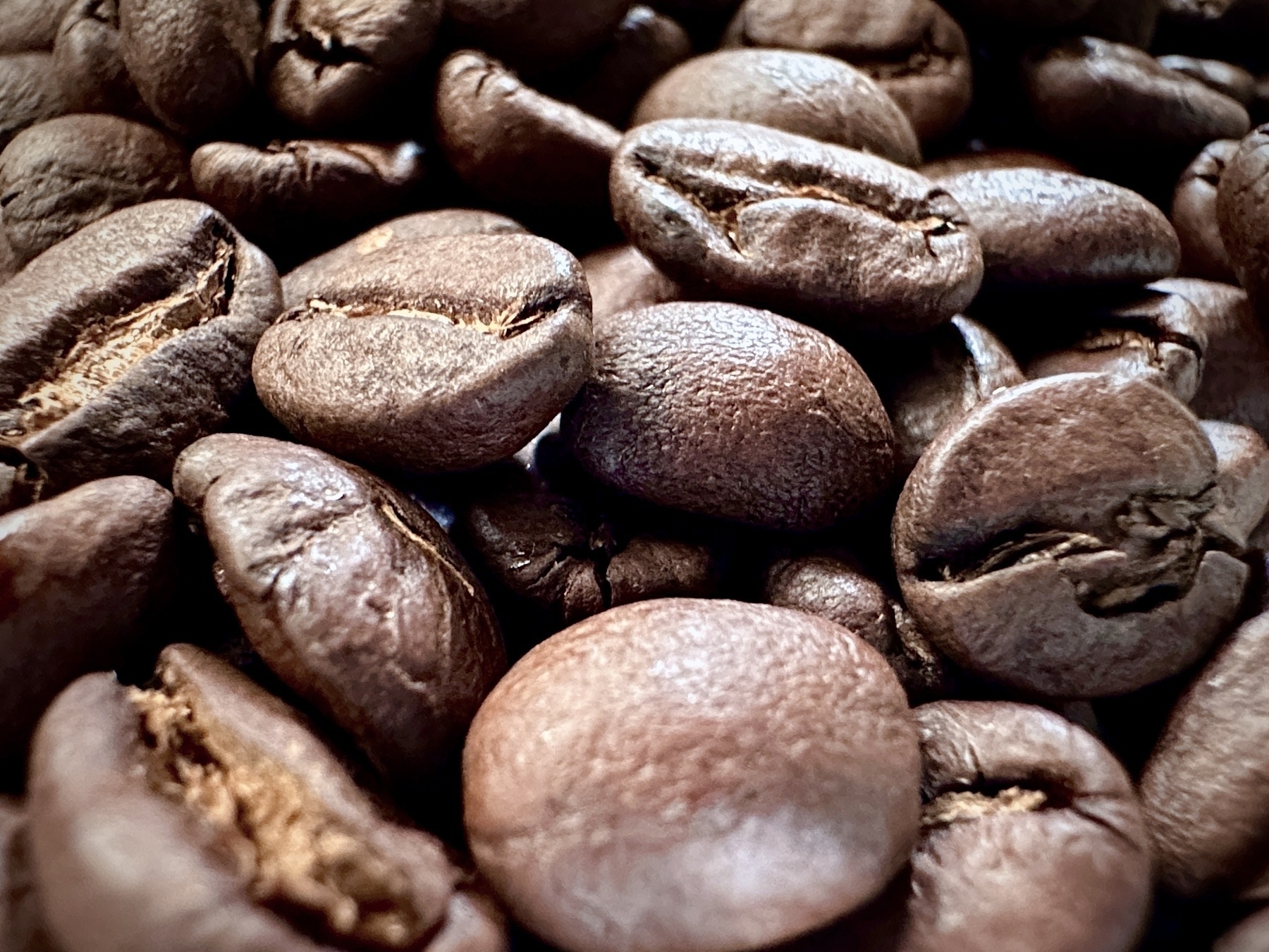 A closeup of dark roasted coffee beans.