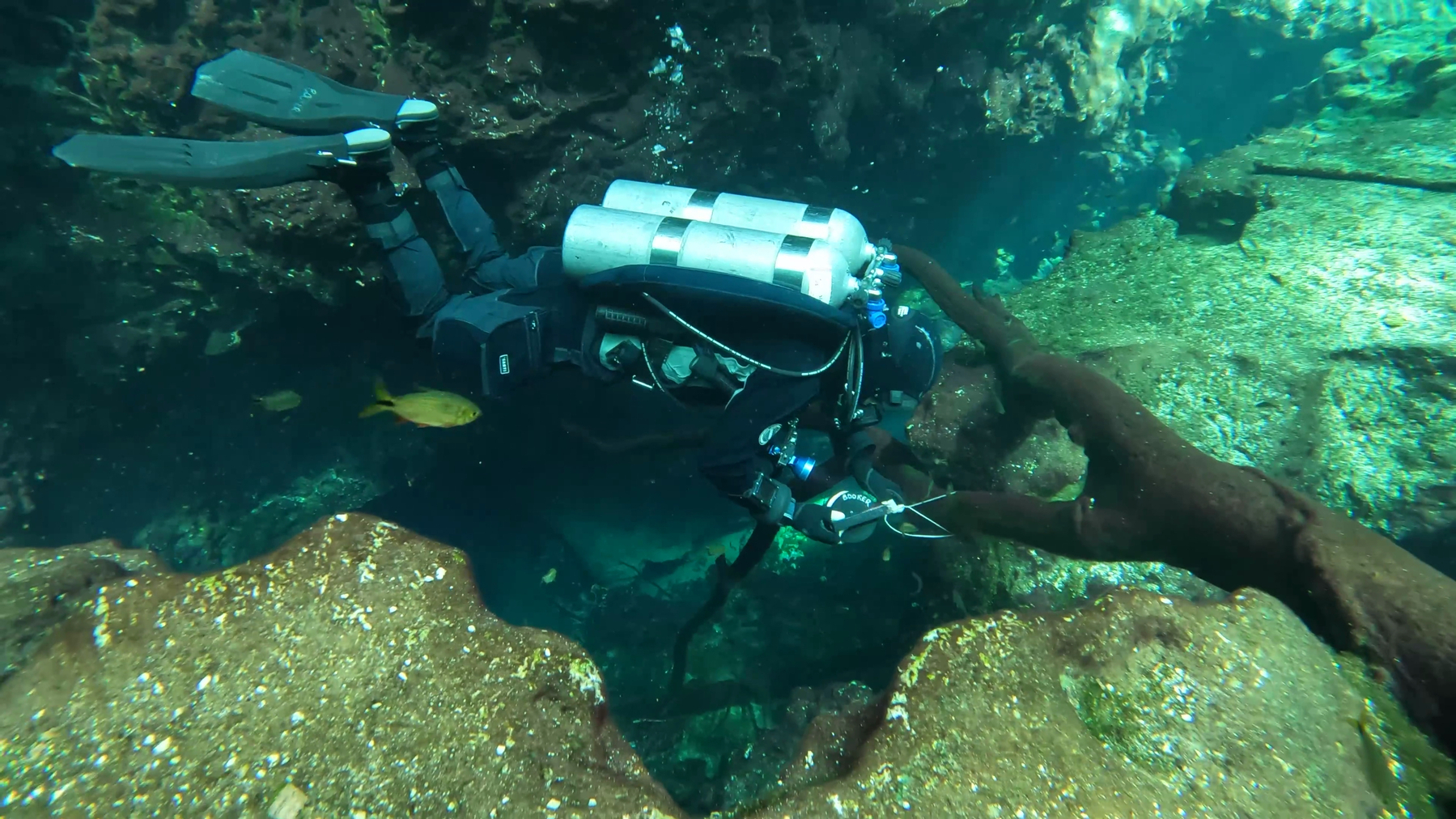 A diver hovering among the rocks leading into an underwater cave system, tying a guideline reel to a nearby fallen tree branch, the crystal clear water casting a green blue hue across the scene.
