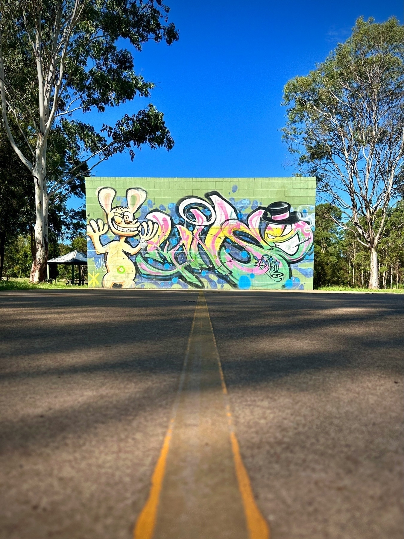 Looking at ground level along the yellow dividing line of an outdoor handball court. The line leads into the distance, terminating at a free standing brick wall covered in street art depicting a crazy looking rabbit and a tophat wearing cigarette smoking angry emoji face. Gumtrees flank the wall in the distance.
