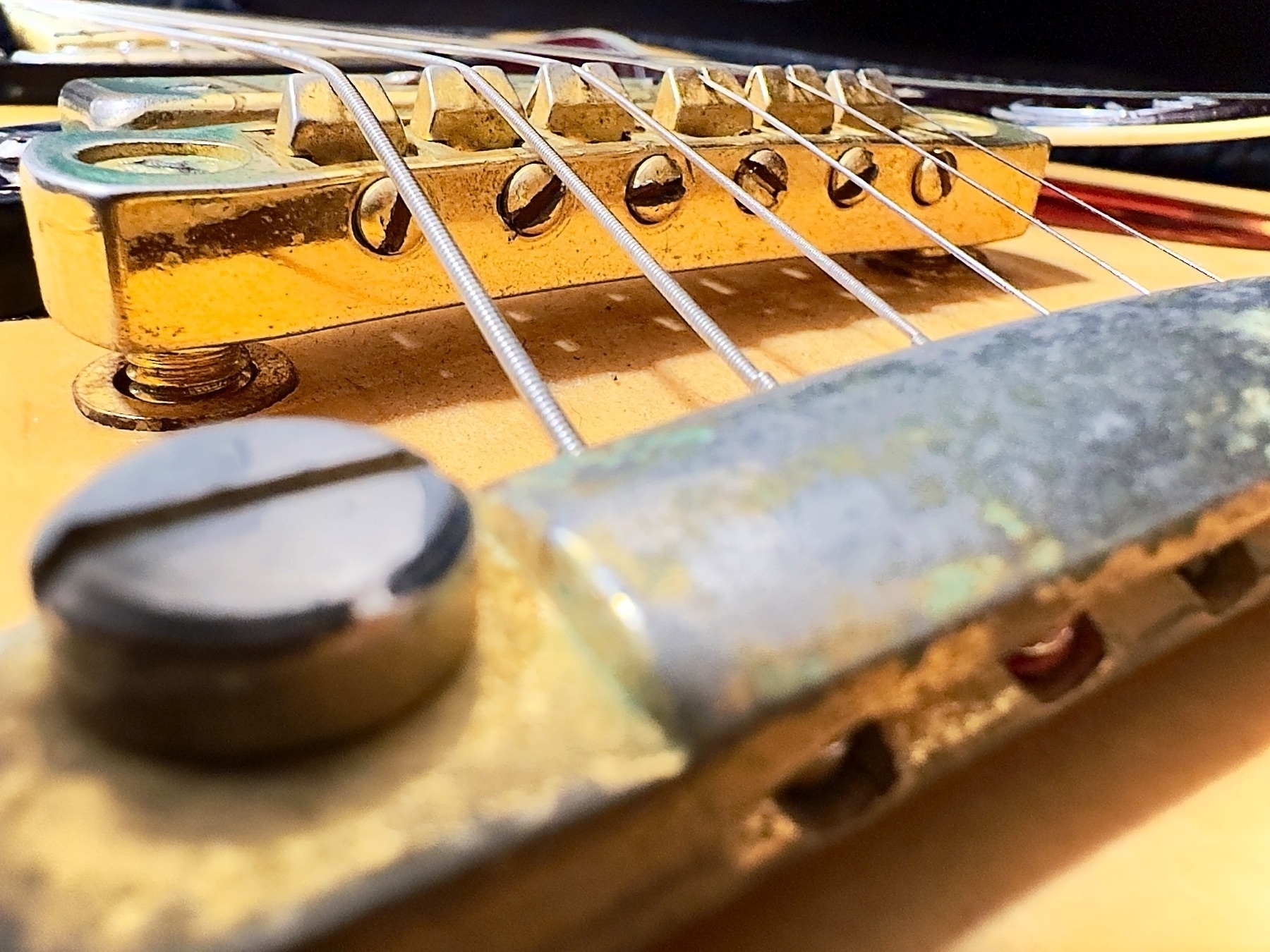 An extreme closeup of the bridge of an Epiphone Sheraton II guitar, looking flat across from the bridge to the saddles.