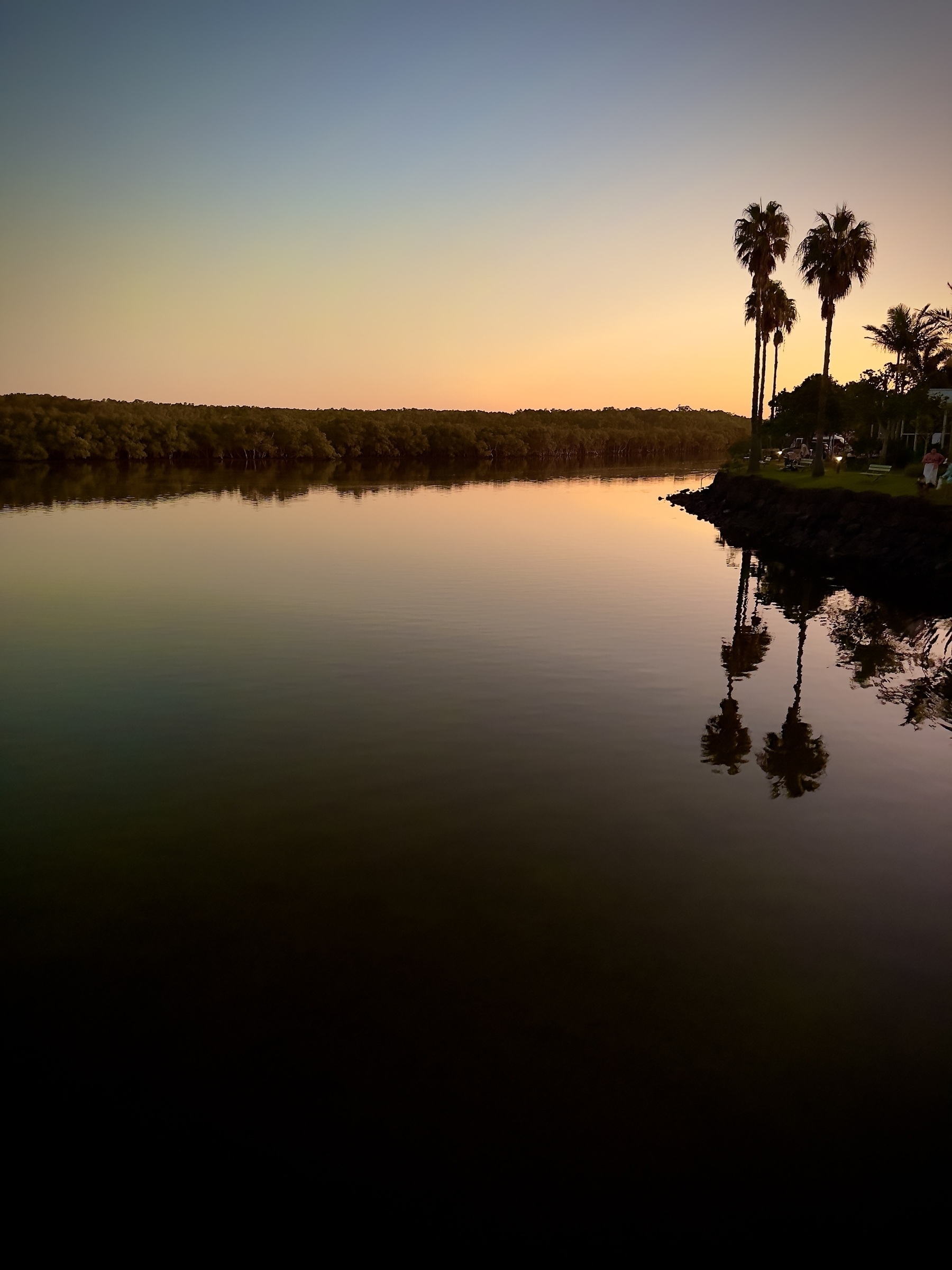 Sunset look out across a river bend, palm trees on the shoreline reflected in the glassy water. The orange pink fading light reflected in the water defines its path and outlines the far bank.