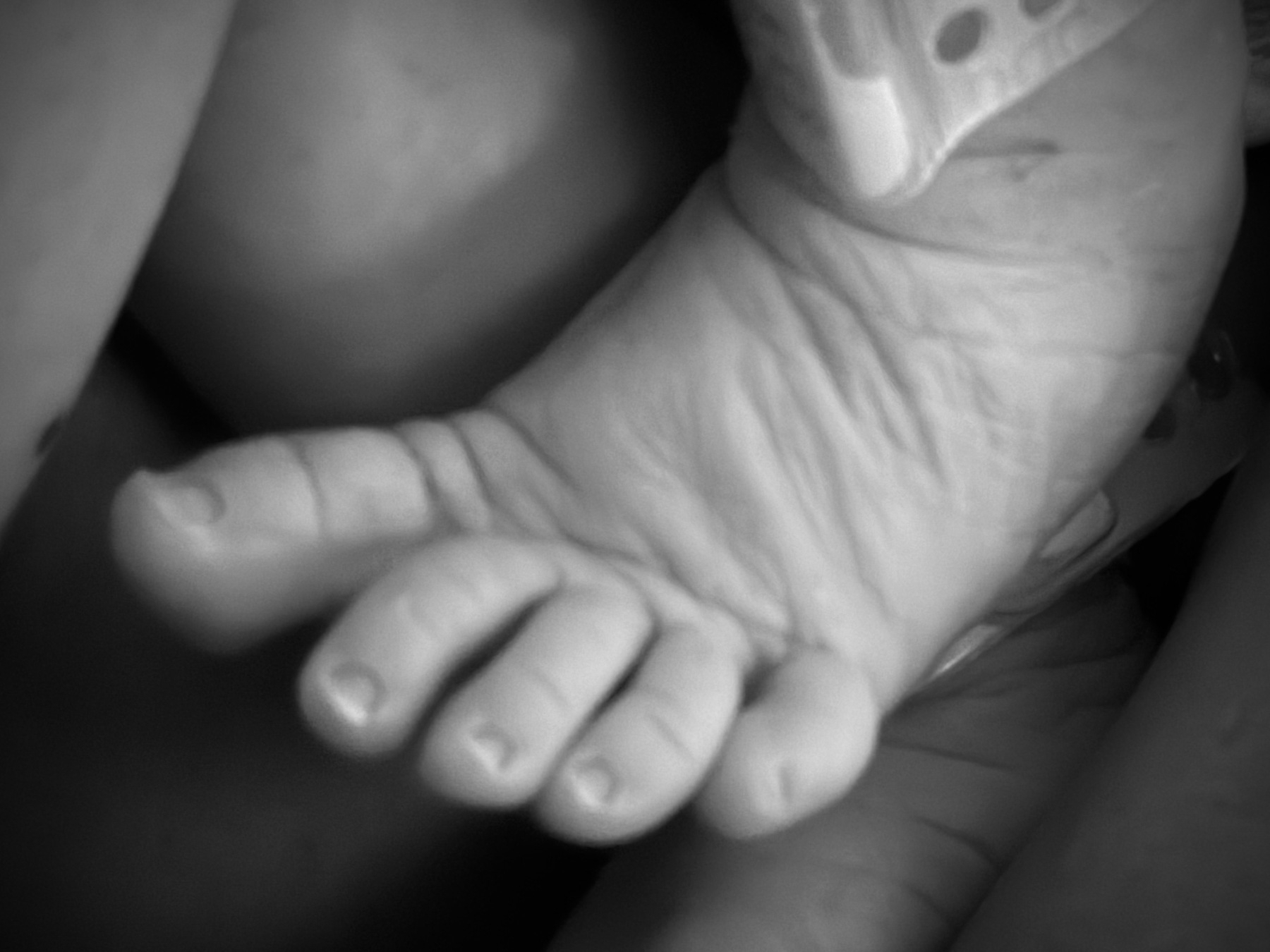 A B&W close up of a newborn baby's foot, toes splayed apart, a hospital ankle band just visible.