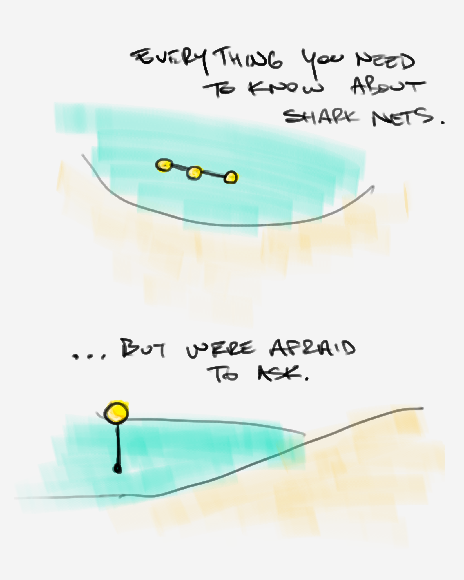 A drawing of how shark nets work. The sketch shows a beach and buoys linked together with nets—untehtered from either the coastine or the sea floor.