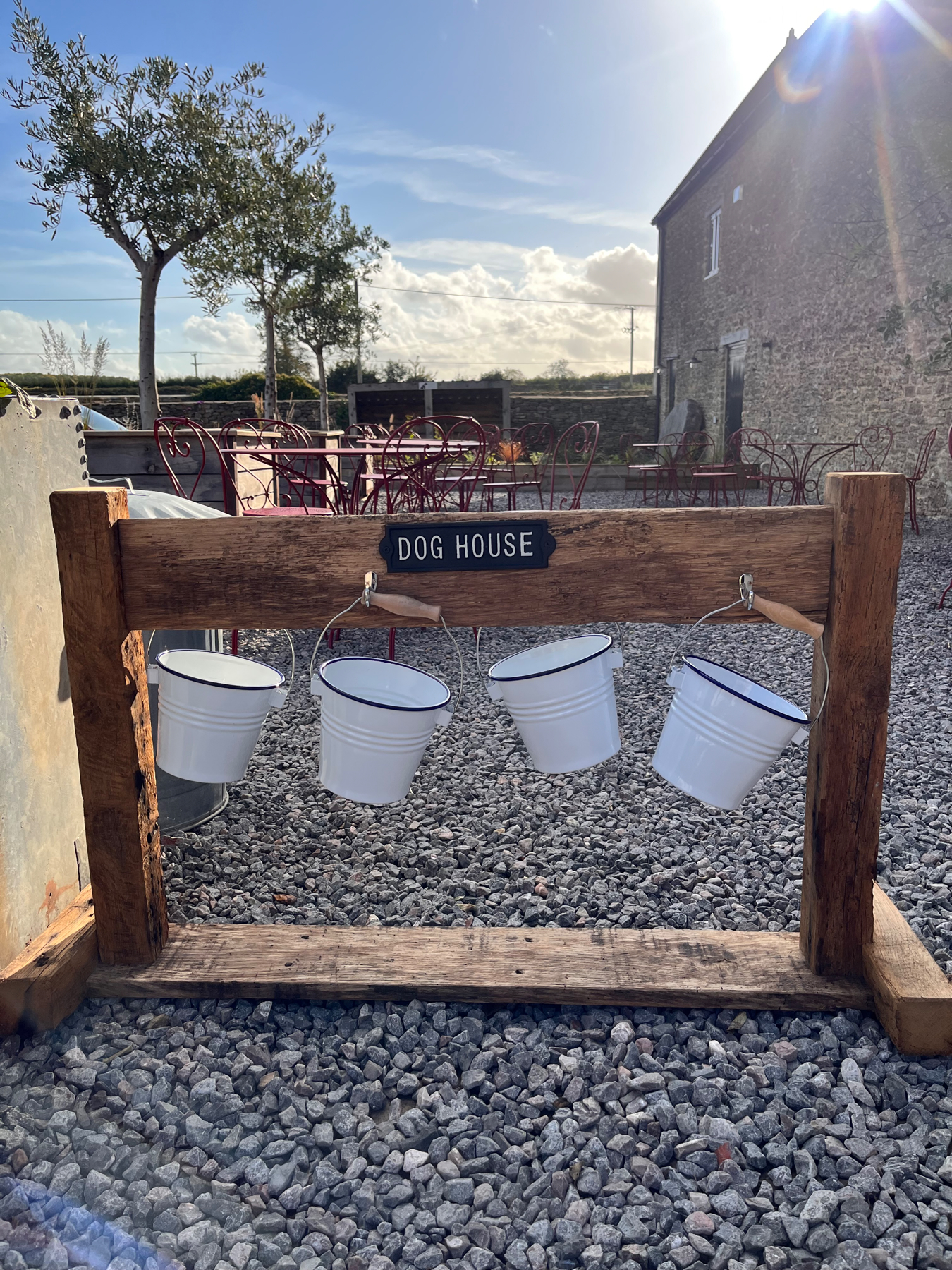 Buckets of water for dogs to drink