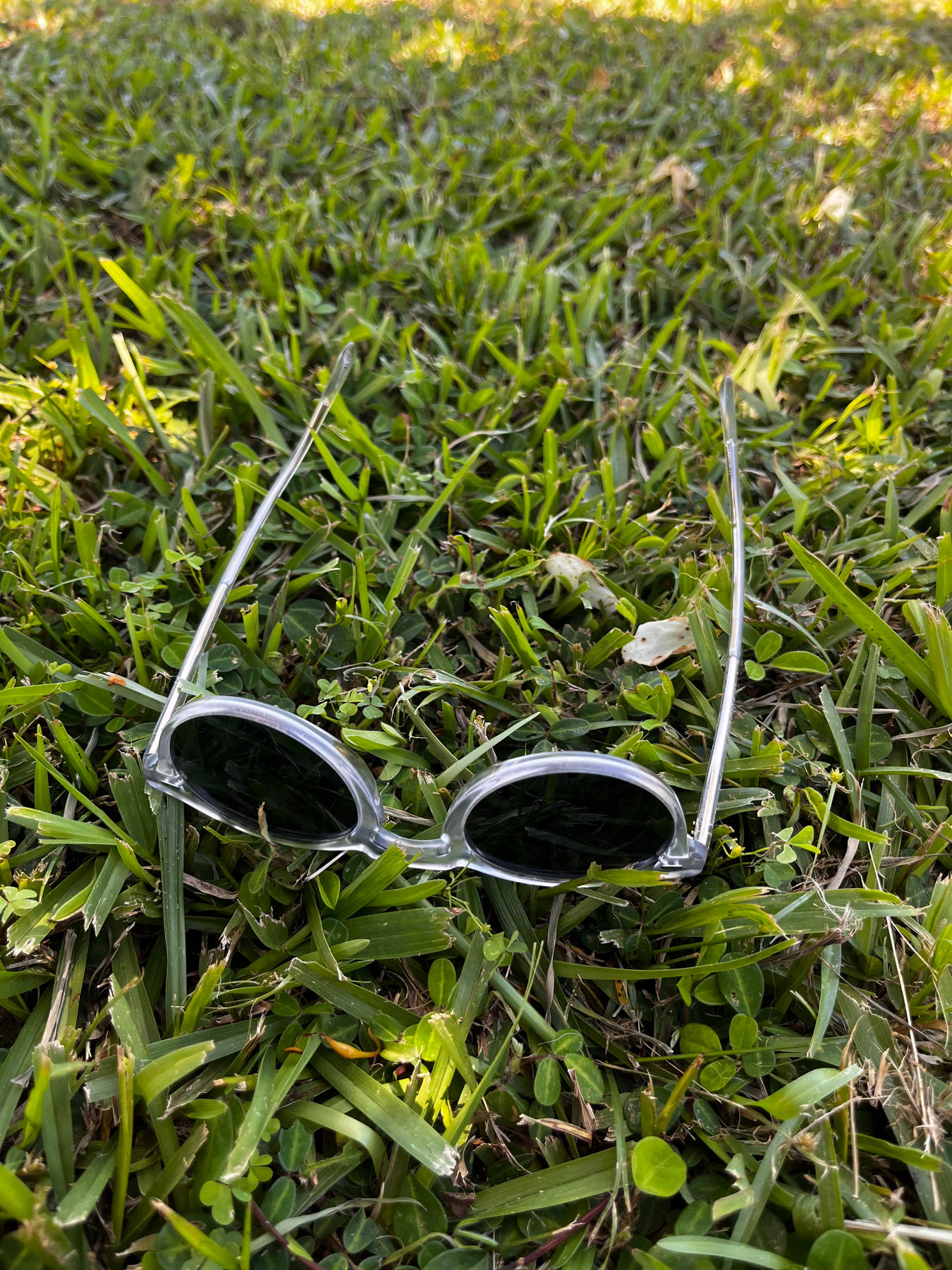 Sunglasses and shade