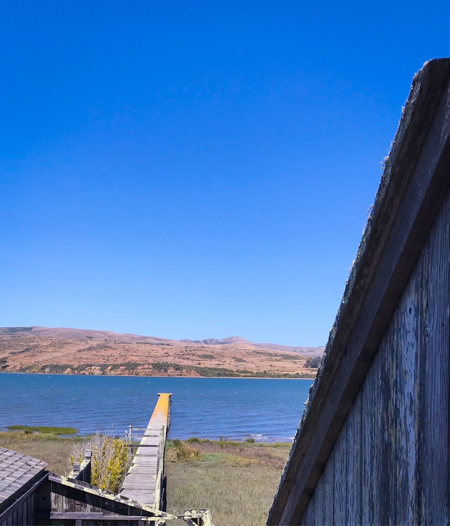 A wooden pier jutting out into Tomales Bay from a house in Inverness, California