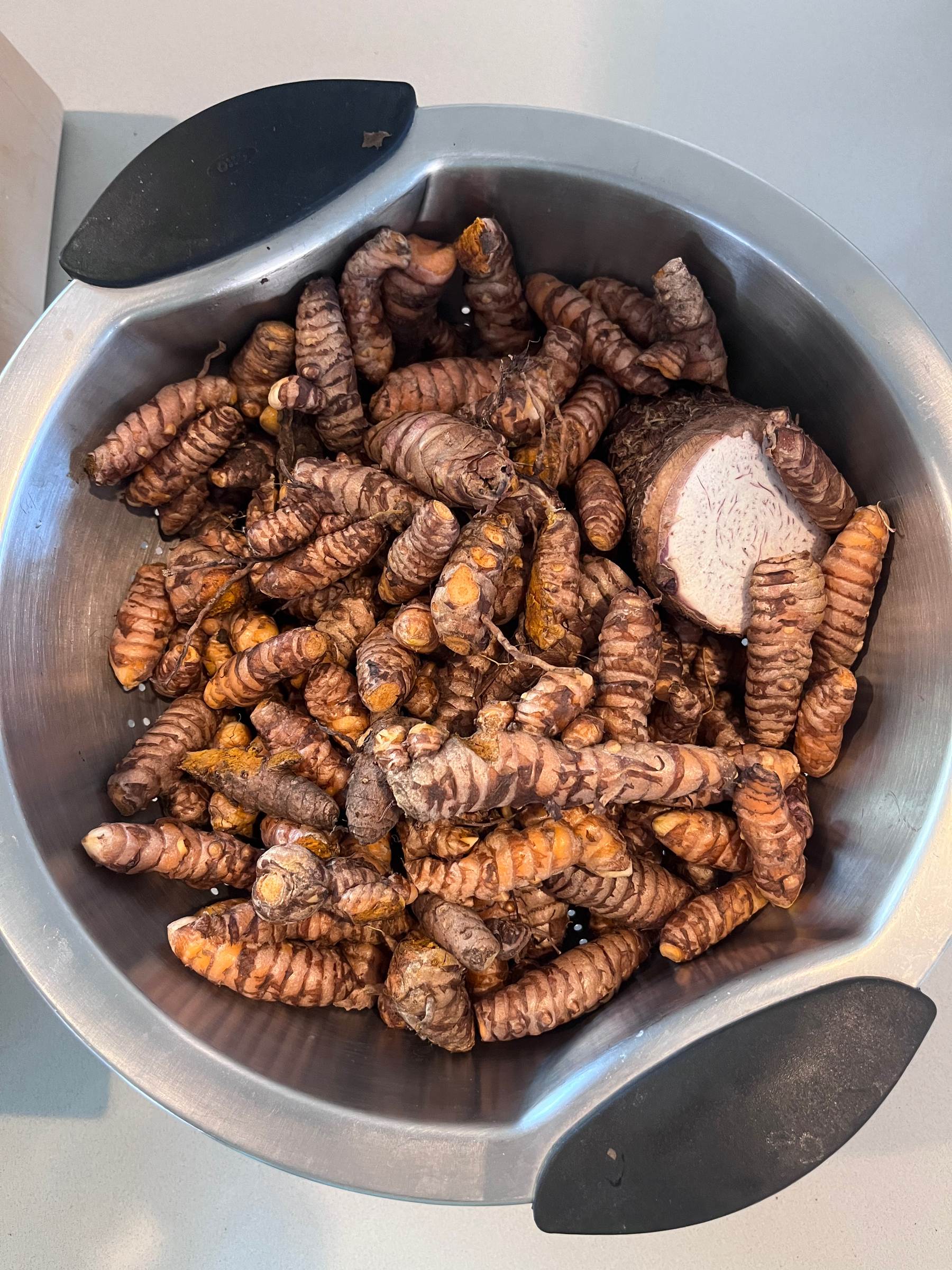 Harvested turmeric sitting in a colander after being washed