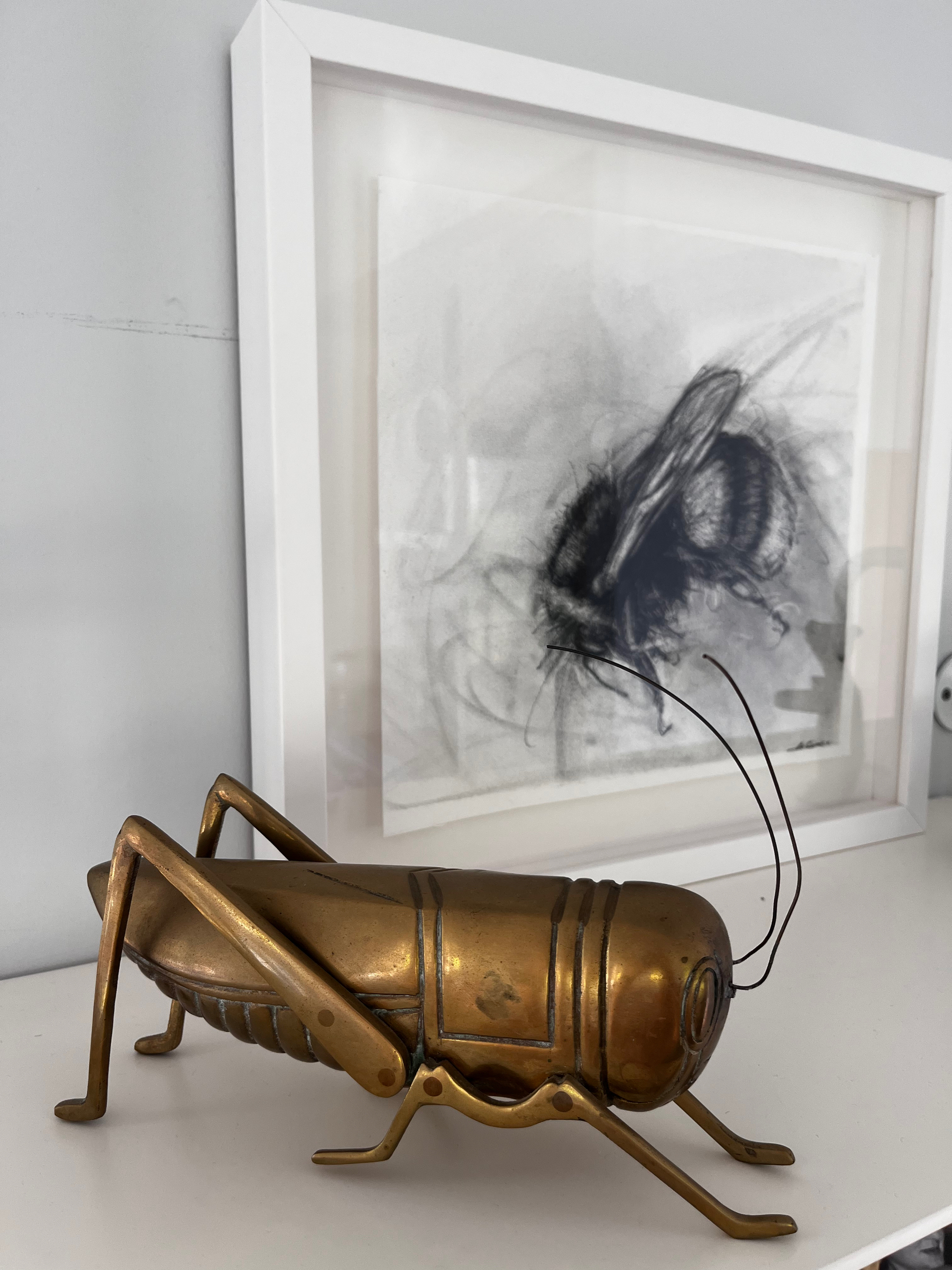 A model of a grasshopper in front of a charcoal drawing of a bumblebee