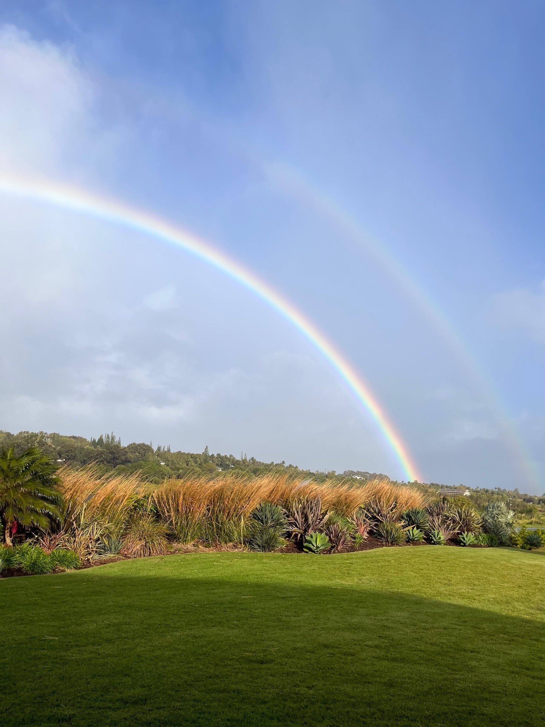 A double rainbow above our garden as a Kona (westerly) storm blows through