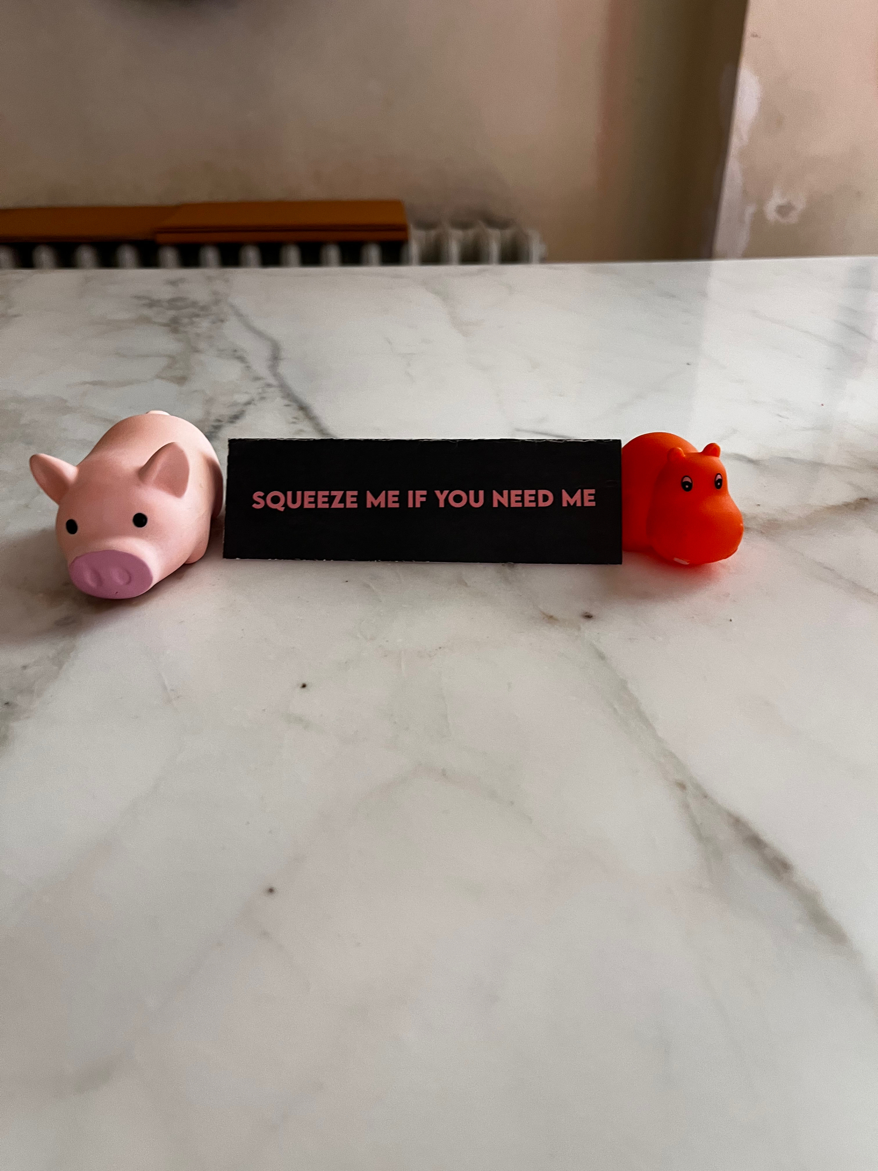 Two little squeaky toys and a sign to say squeeze me if you want help on a hotel reception desk in Siena Italy