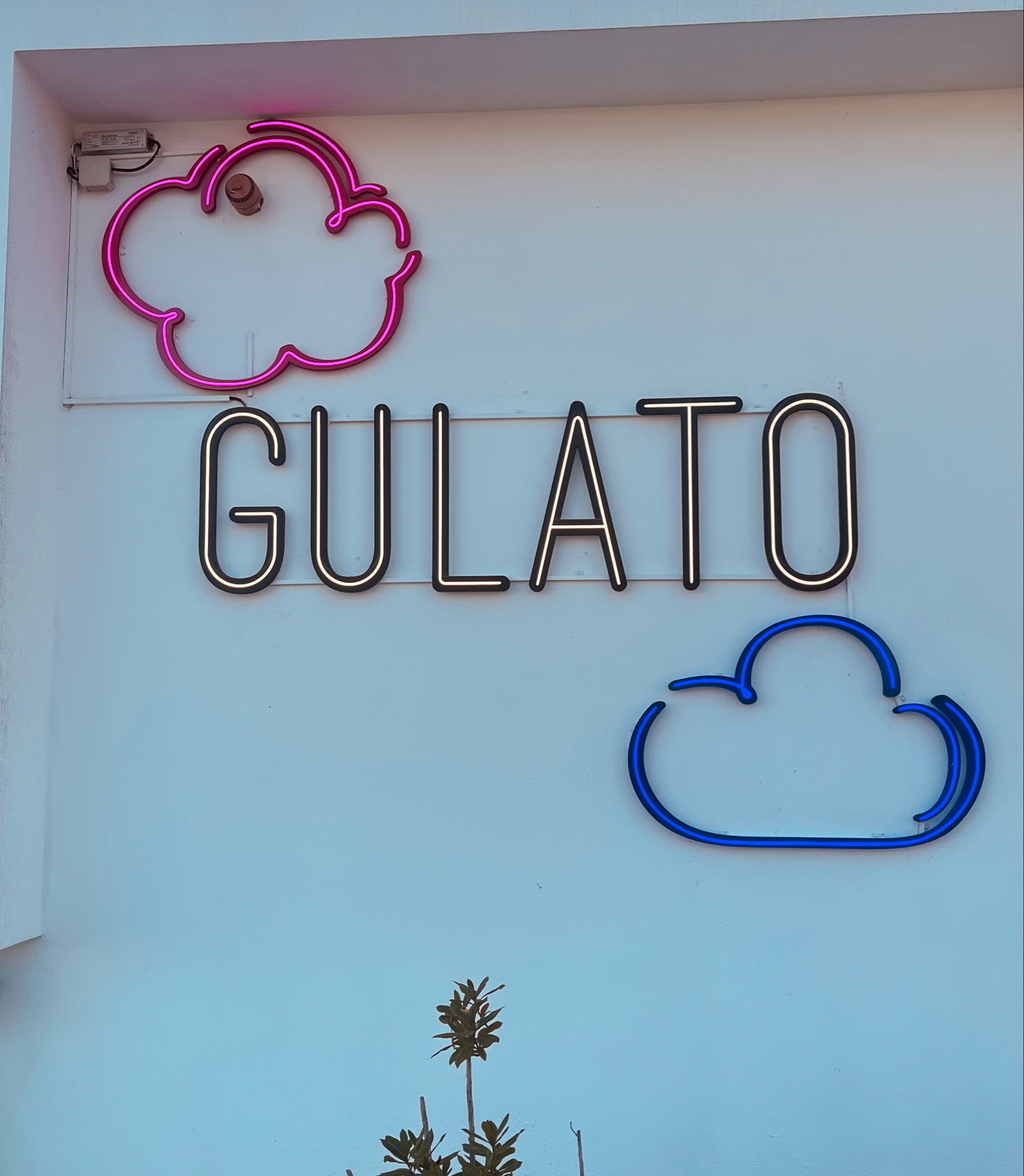 Neon sign on a wall with the text “GULATO” and two cloud-shaped designs, one pink and one blue. There are small plants at the bottom.