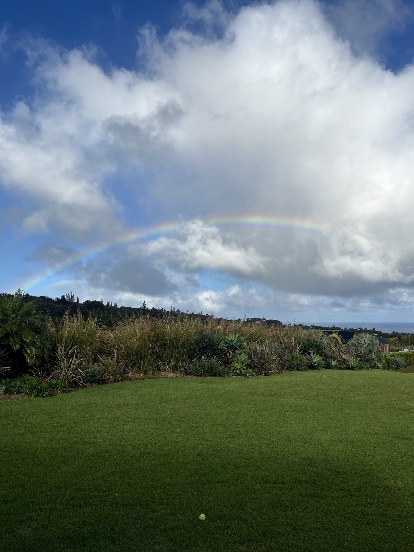 A lush green lawn stretches beneath a cloudy sky featuring a faint rainbow, with trees and shrubs lining the horizon, and the ocean in the right distance.