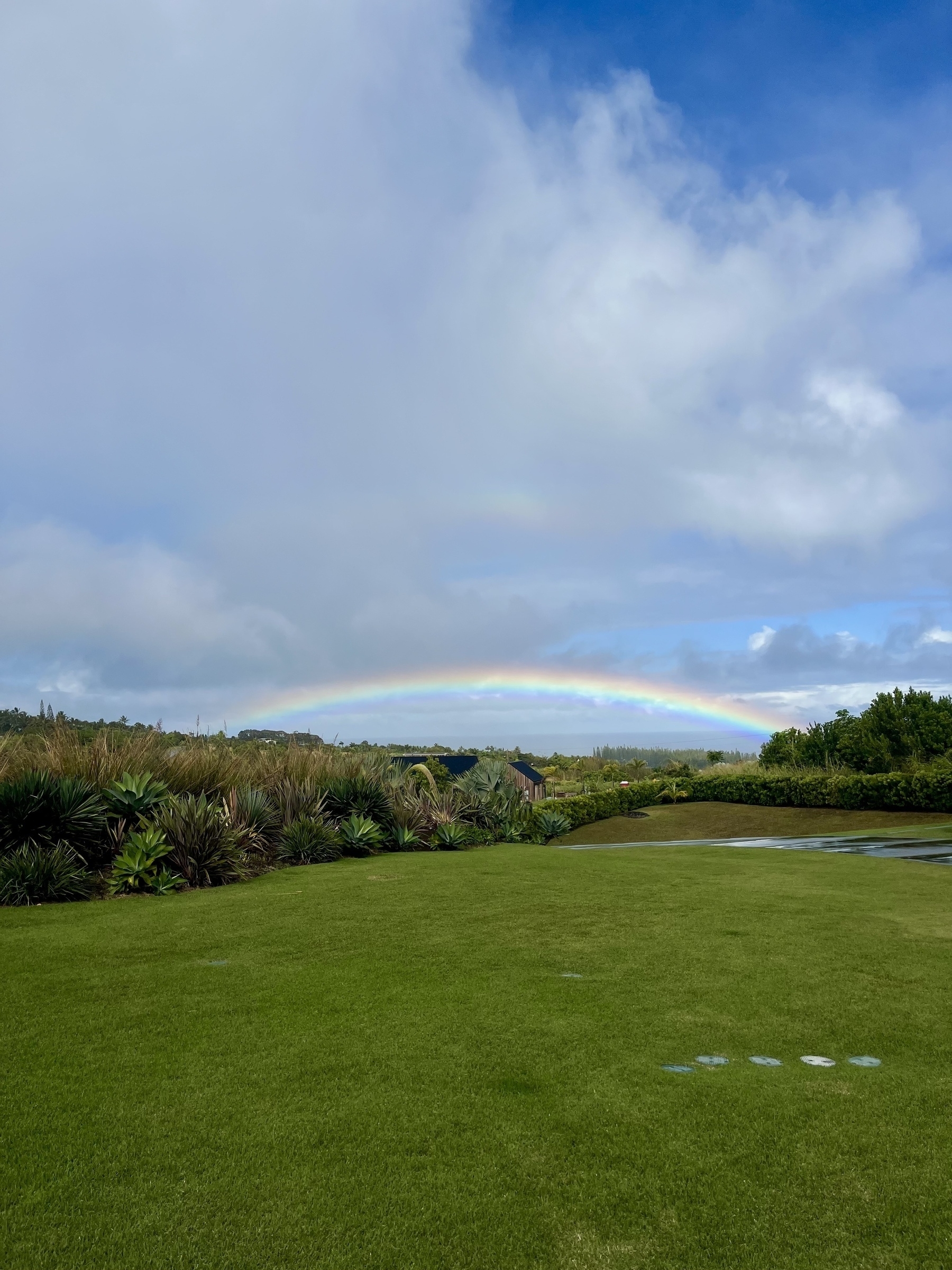 A lush green field with various vegetation stretches beneath a vibrant rainbow and cloudy sky. In the distance is the ocean.