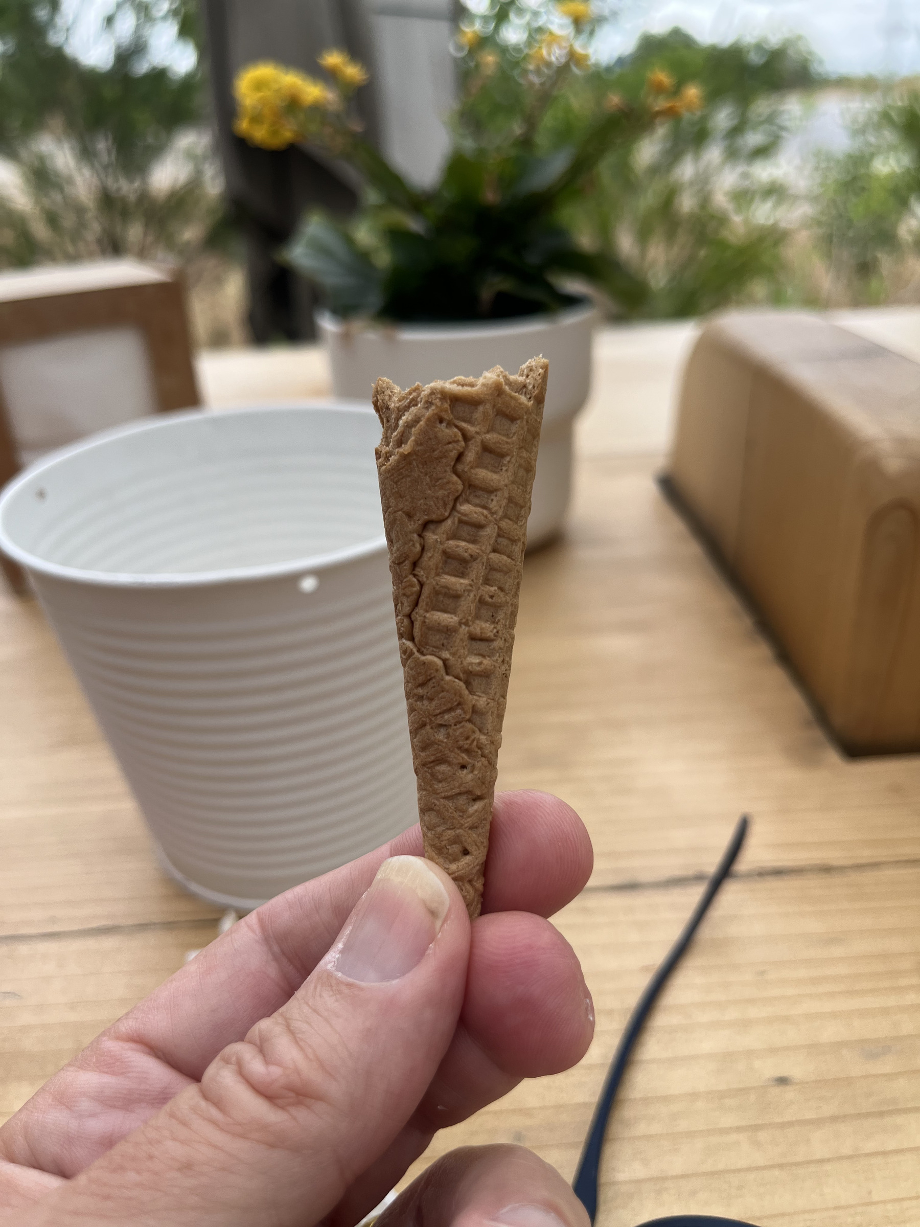 A hand holding the empty end of an ice cream cone. The hand rests on a table on which is a napkin holder potted plant and a pair of glasses. Blurry in the distance can be made out vegetation and a road.