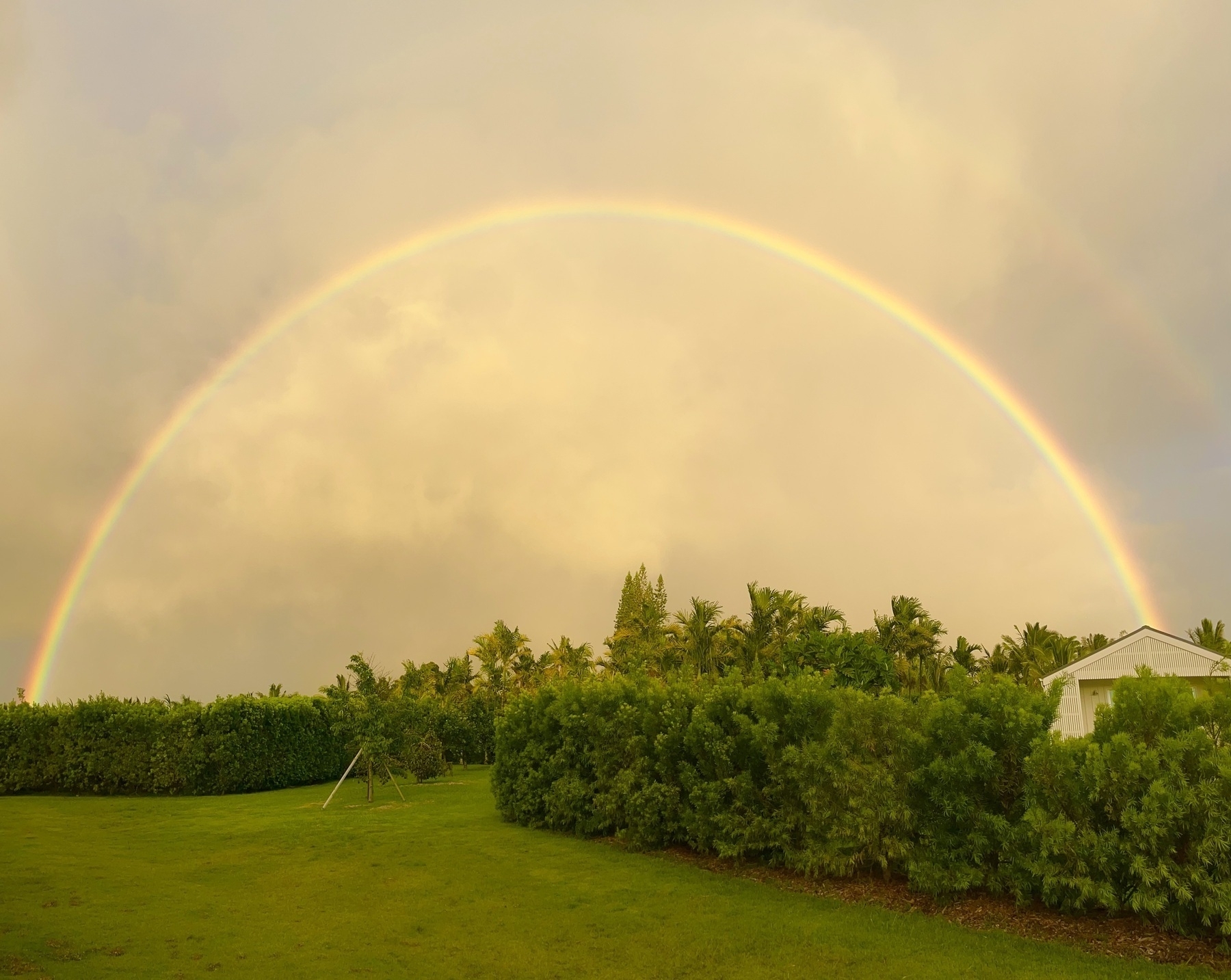 A rainbow arcs across the sky, a second one just visible above it. Below is a lawn with trees and bushes. At the right end of the rainbow the eaves of a white house are just visible above some bushes.