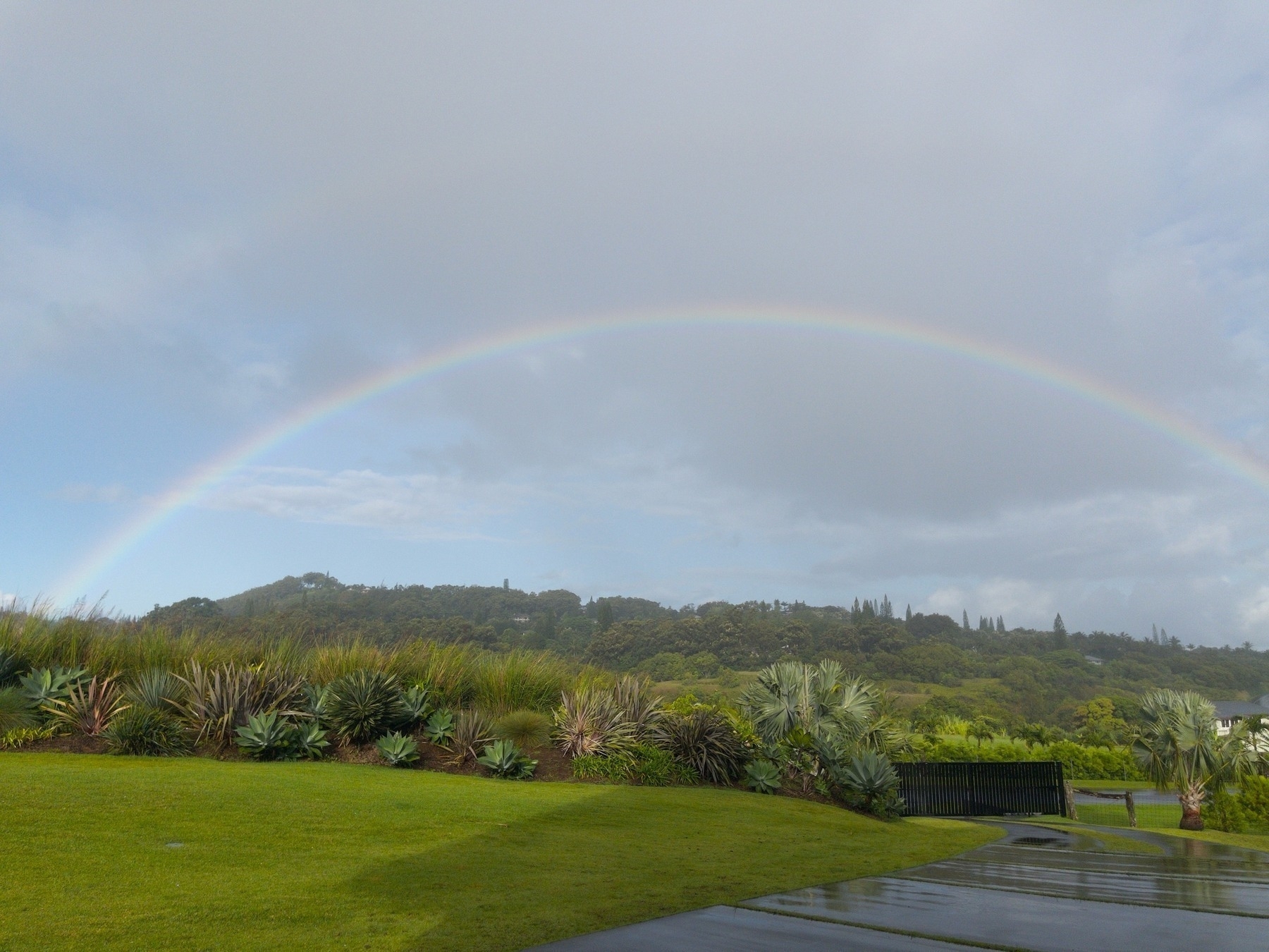 A rainbow in a grey sky arching over a lawn, driveway, black gates and a berm full of mixed vegetation.