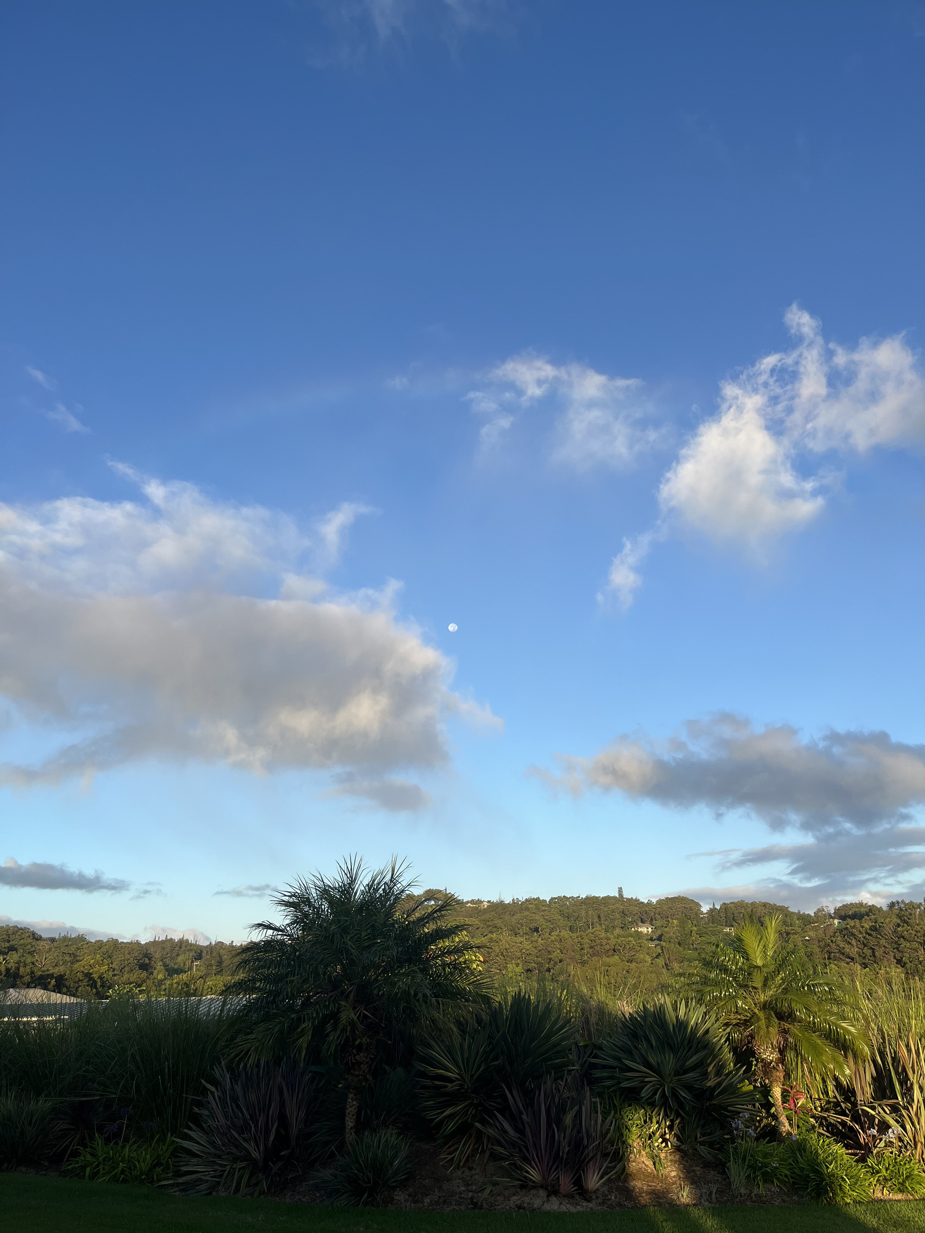 Auto-generated description: A lush, green landscape with various trees and plants is set against a bright blue sky with scattered clouds, and the moon visible in the distance with a faint rainbow above it.