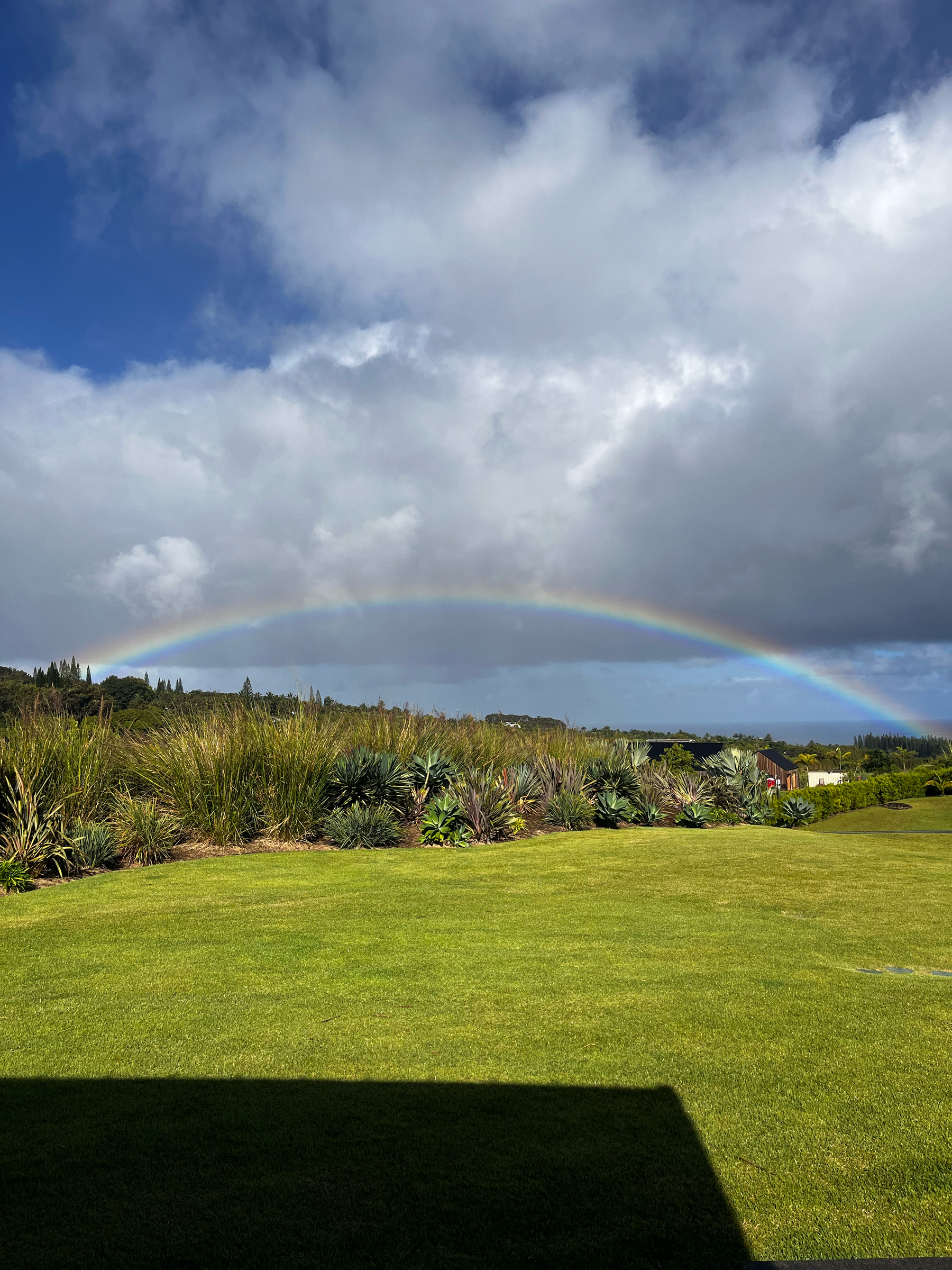 A rainbow spans the image with a lawn in the foreground, various vegetation in the background and the ocean in the distance.