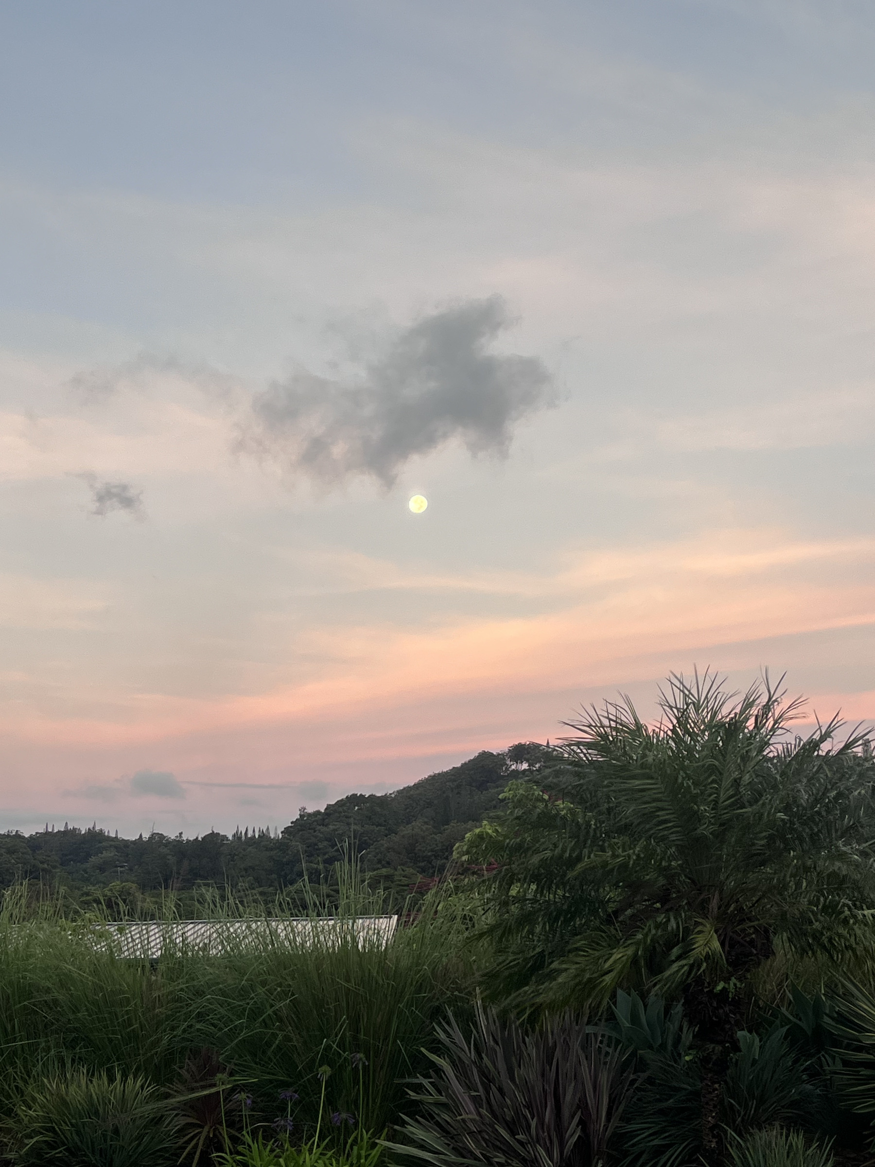 Auto-generated description: A serene landscape features lush greenery in the foreground, a distant tree-covered hill, and a pastel-colored sky with a prominent moon and a few scattered clouds.