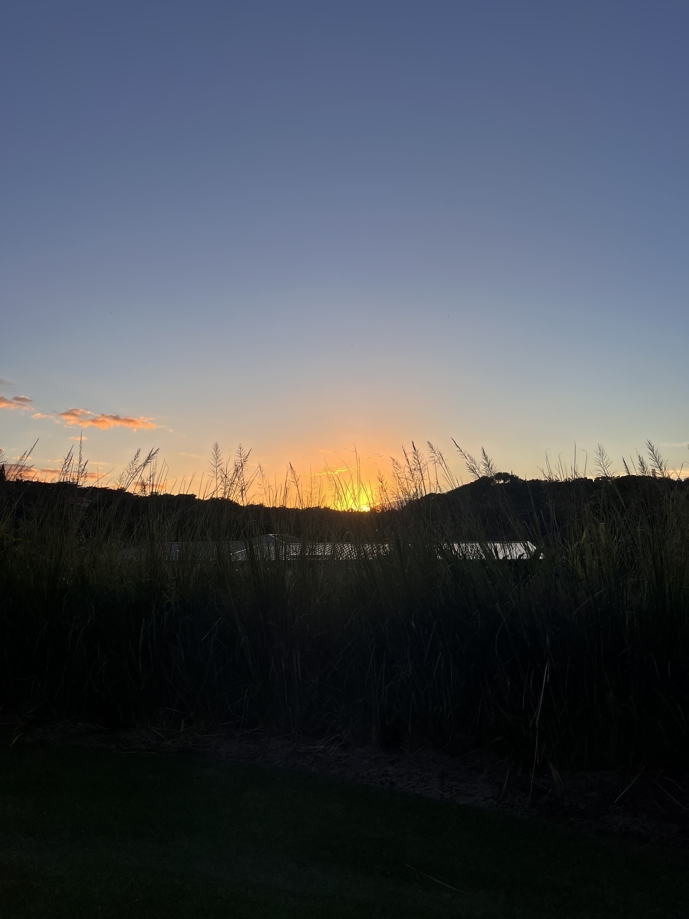 A serene sunset is visible over a landscape with silhouetted grasses and a rooftop catching the last of the daylight.