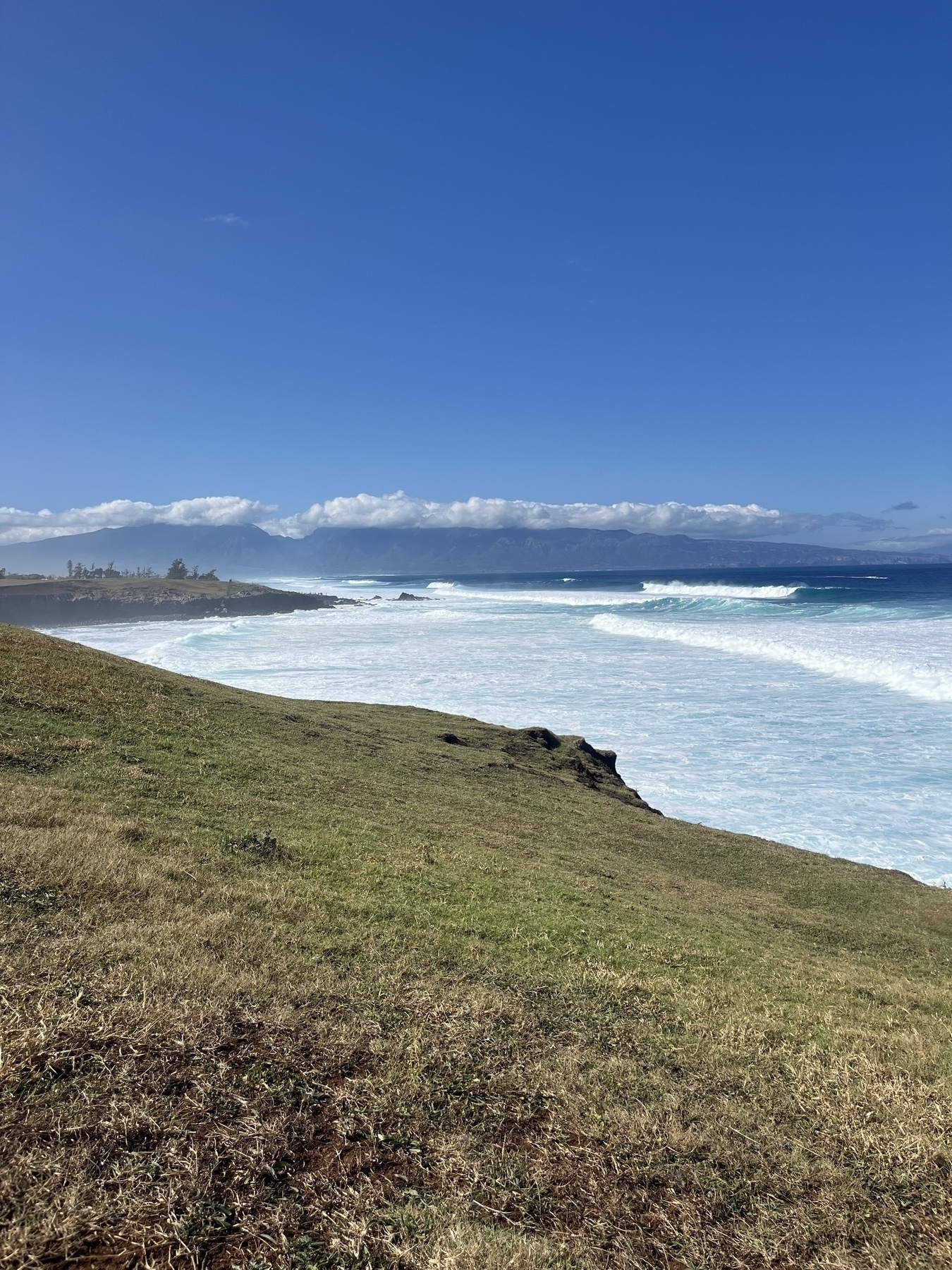 A grassy hill overlooks a vast ocean with waves crashing under a clear blue sky.