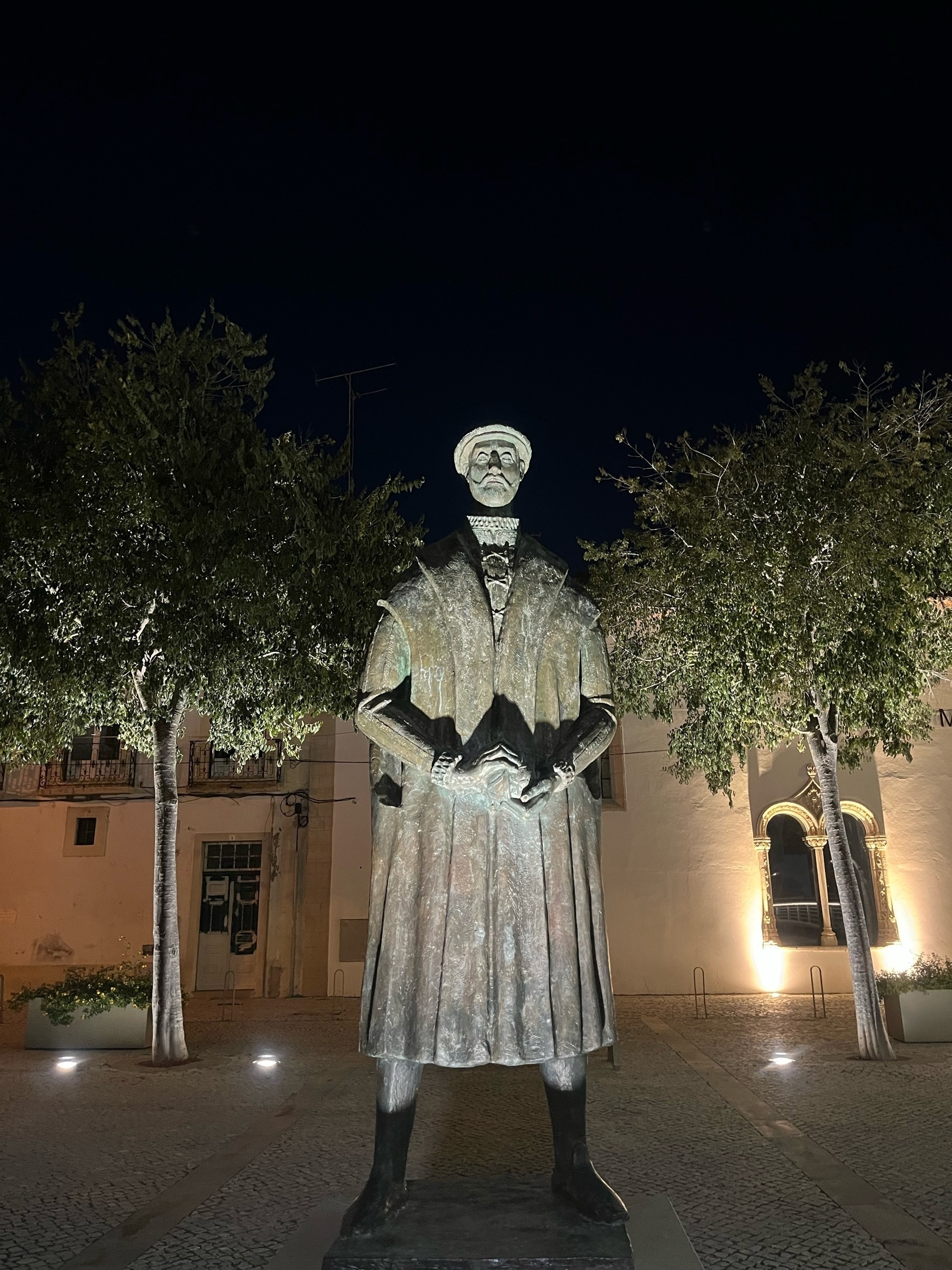 A statue of Pedro Nunes lit up at night by lights from below. Behind are two trees and a building also lit by lights.