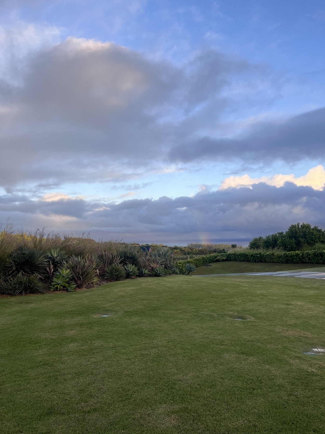 A grassy field is bordered by lush vegetation under a partly cloudy sky, with a partial rainbow in the distance.