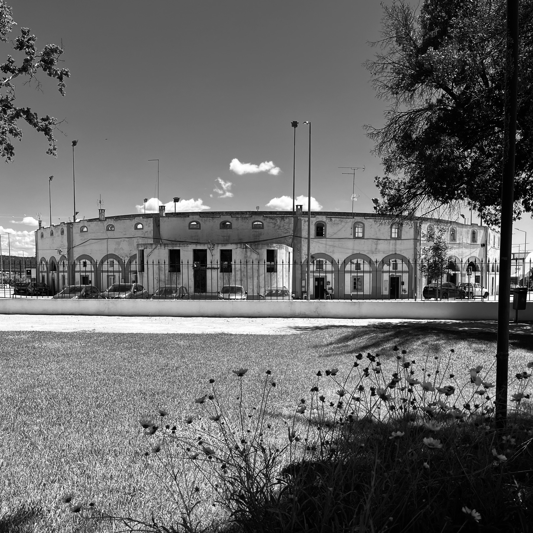 A black and white photograph of a bullring from the public park next door. In the foreground is a lawn and flowers. Then a fence and the circular wall of the bulging with cars parked in front.