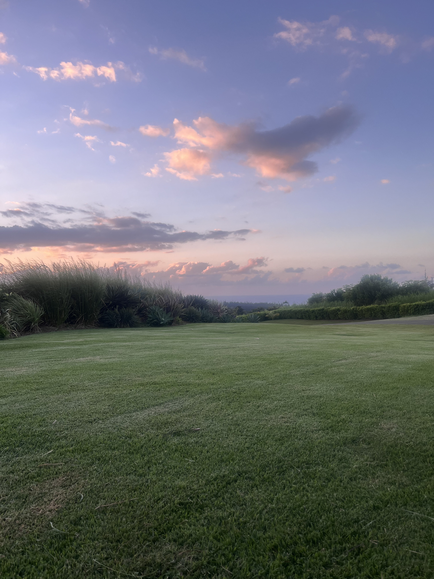 Auto generated description: A serene landscape of a grassy field is set against a backdrop of a pastel-colored sky with scattered clouds.