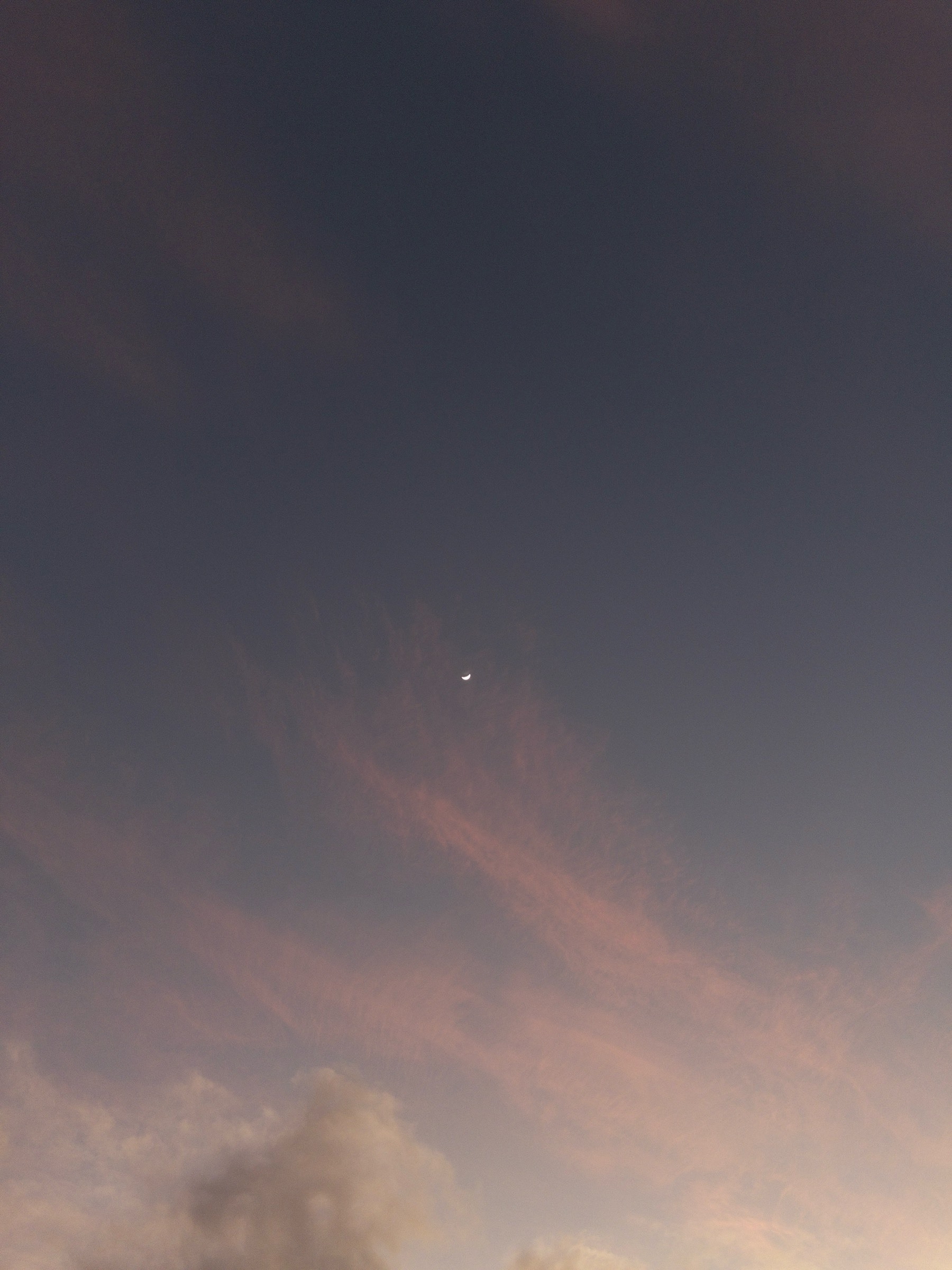 A crescent, waning moon high in a dawn sky with scattered, red tinted clouds.