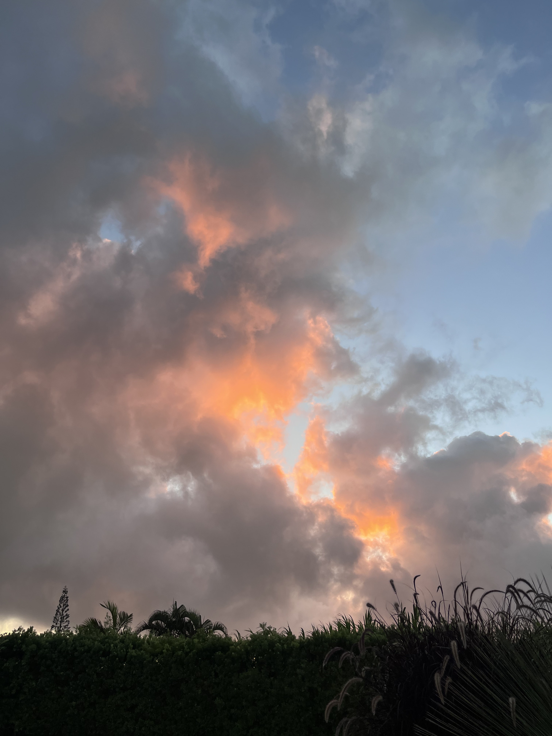 Auto-generated description: Pink and orange hues illuminate the clouds during a sunset over a landscape with greenery and bushes.