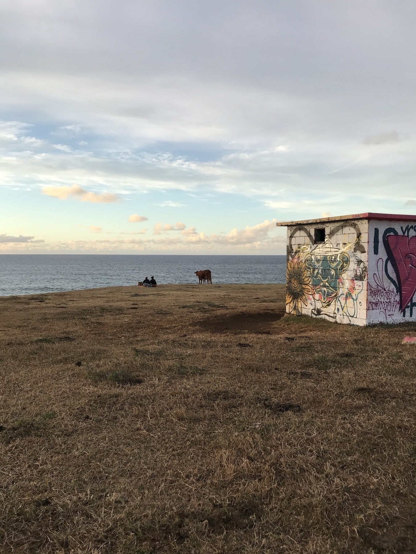 A small graffiti-covered building stands on a grassy field near a calm ocean, with a cow grazing nearby and people sitting in the distance.