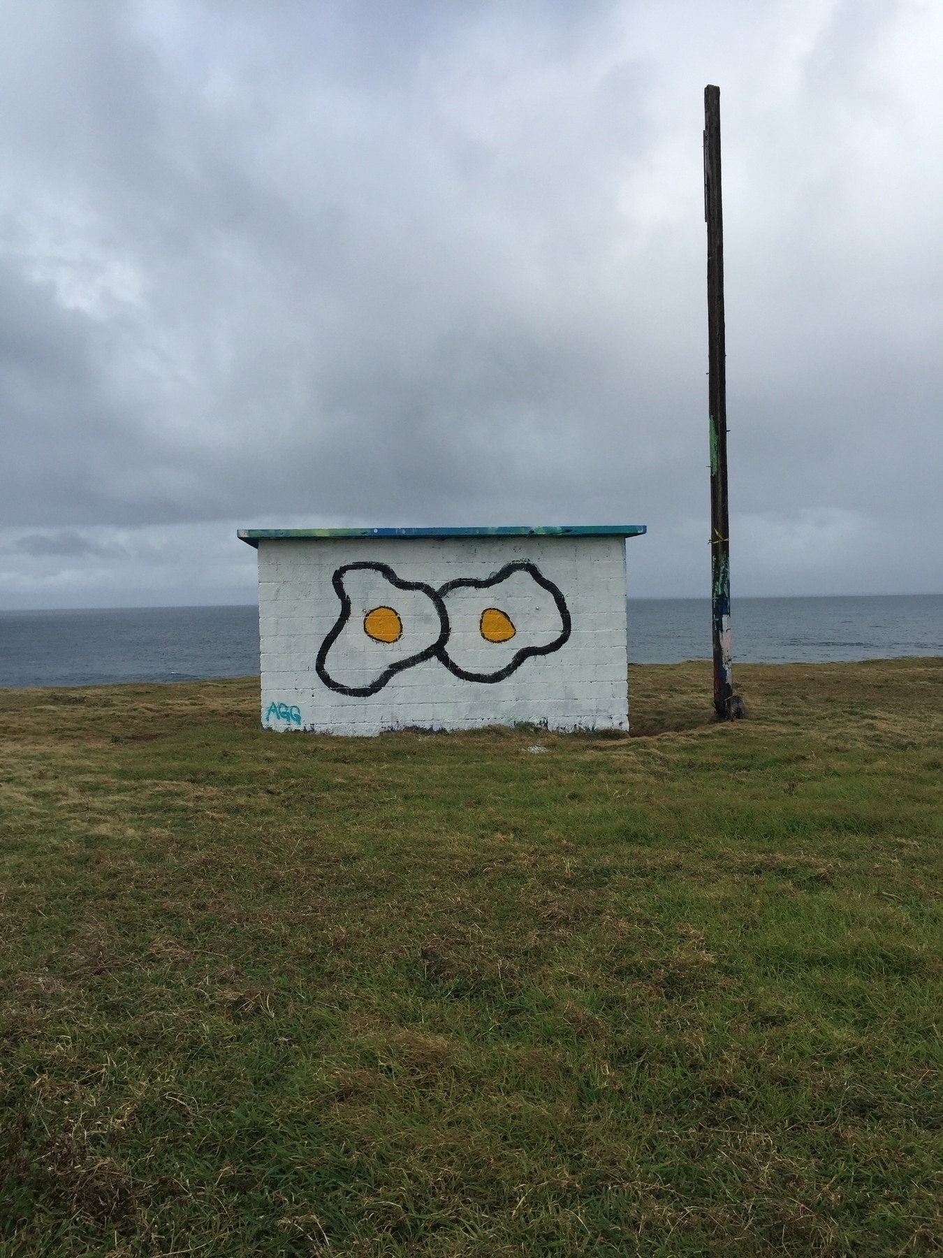 A small white structure with graffiti of two fried eggs is situated on a grassy area by a the ocean under a cloudy sky.