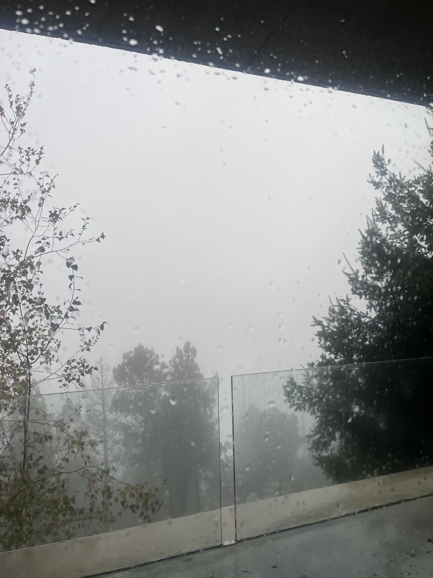 Looking out of a window with rain drops all over it, to a balcony that is wet and beyond that trees and think cloud mist.