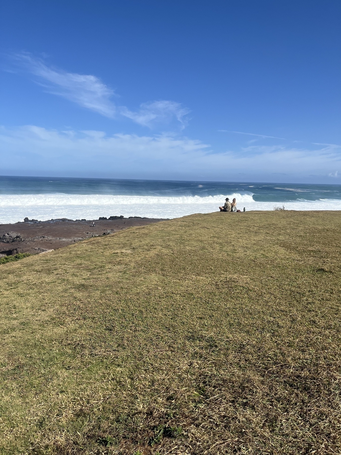 A grassy area overlooks a rocky shoreline with waves under a clear blue sky.