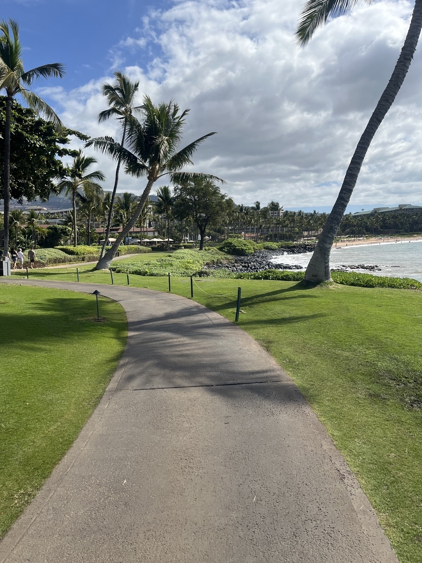 A winding path lined with palm trees leads to a beach under a partly cloudy sky. Some buildings are just off the left.