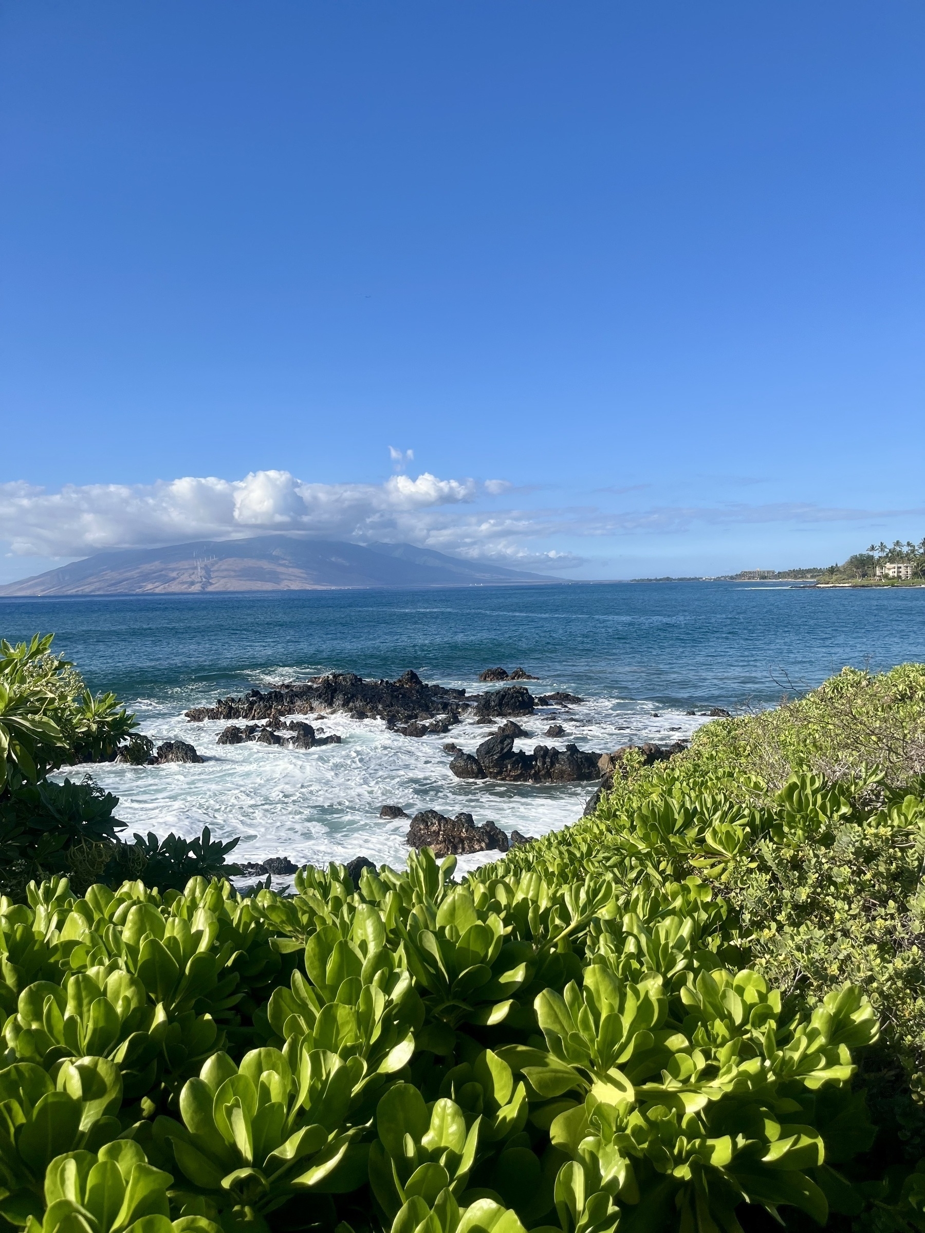 A scenic ocean view features lush green vegetation in the foreground, lava rock shores, and a distant mountain with wind turbine going up its side in a line, all under a clear blue sky.