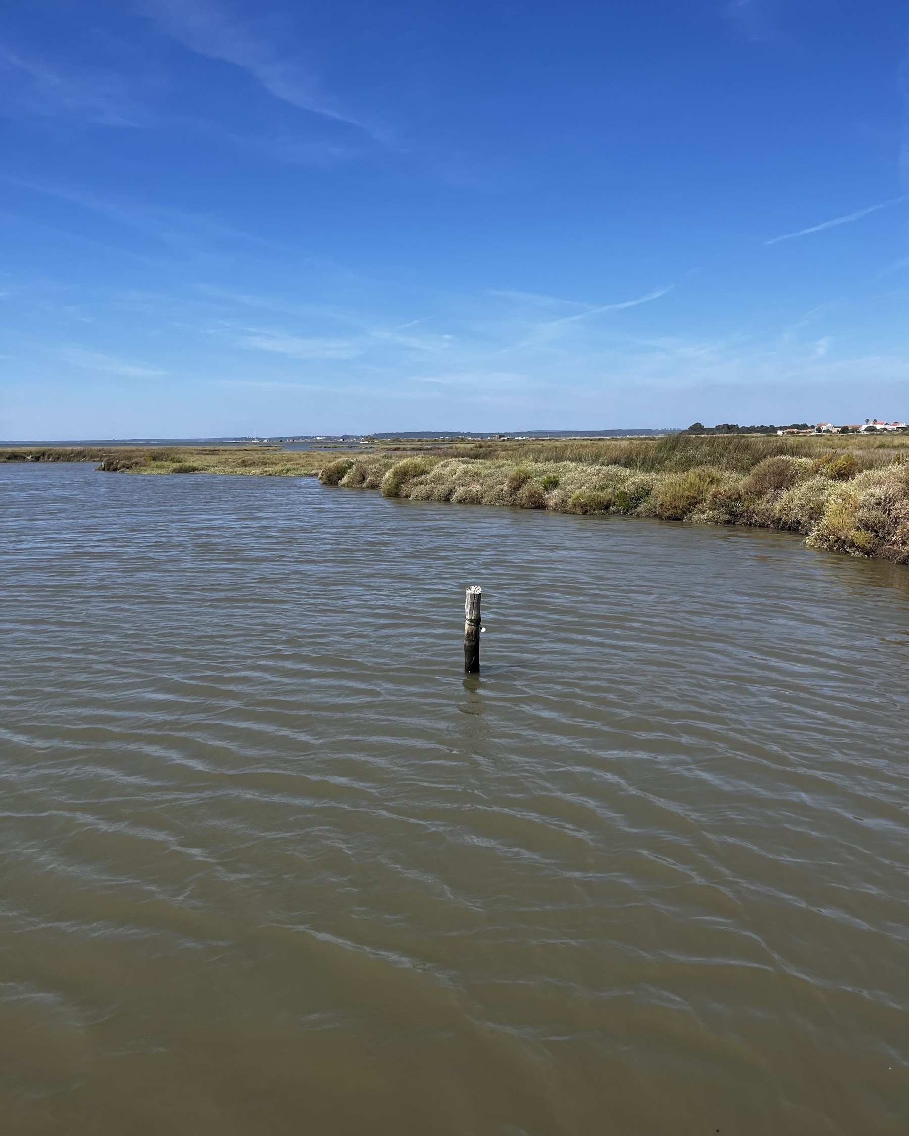 Calm river estuary water with a post sticking out of the water, grass to one side and blue sky