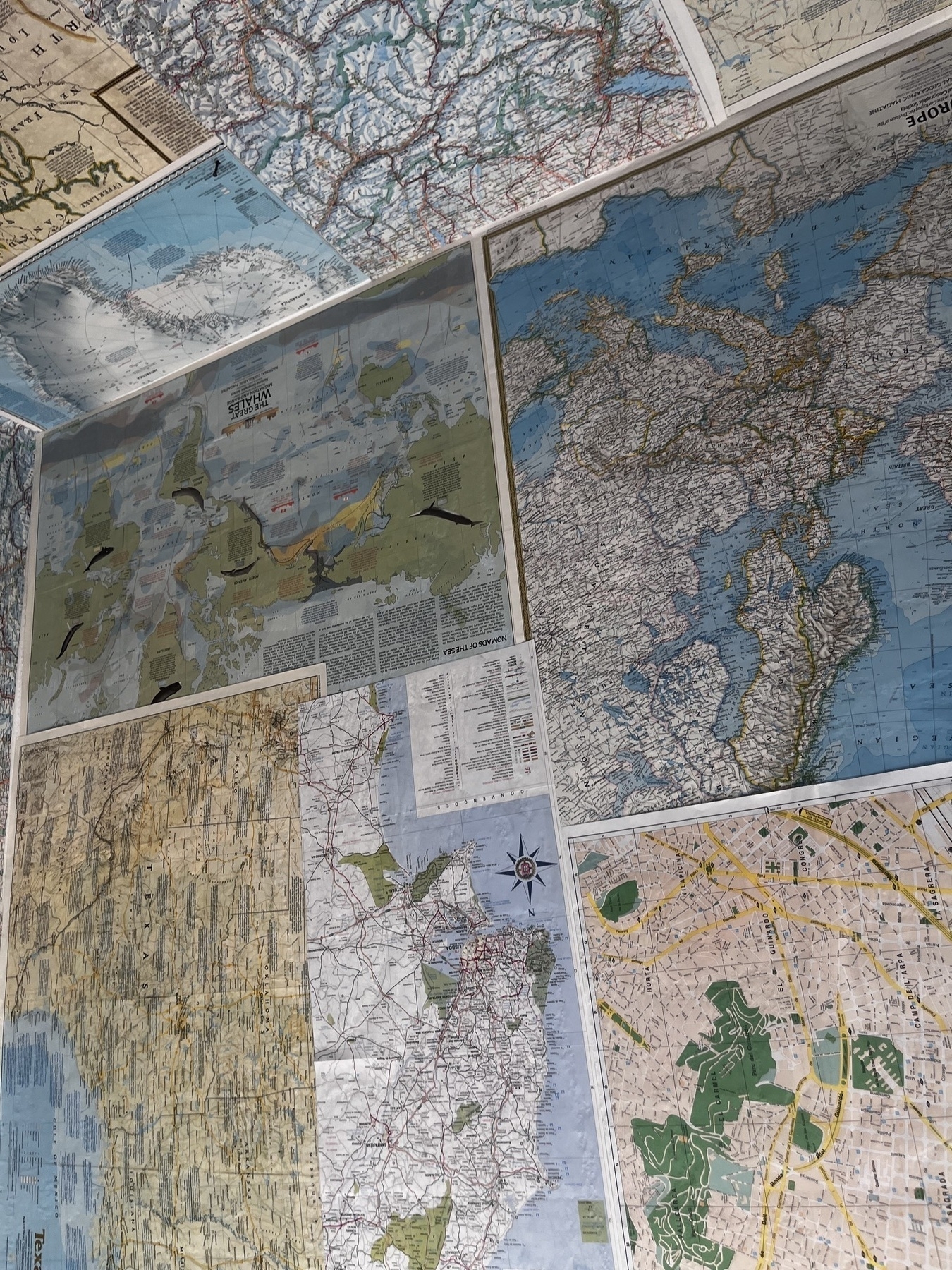 A variety of maps stuck over a wall and ceiling