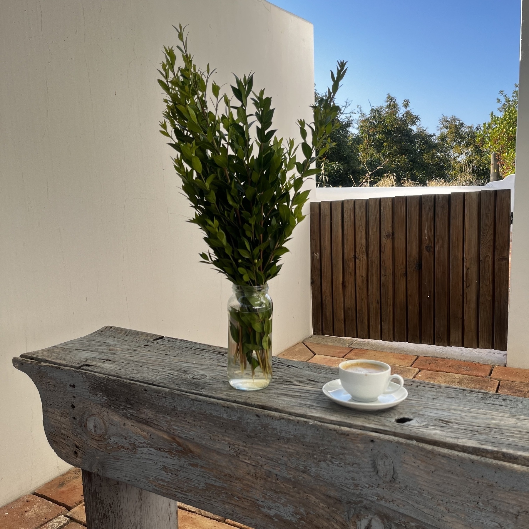 A old bench with a jar full of water and some green leafed branches in it. Beside is a small cup and saucer with coffee in it. Beyond is a low gate between white concrete walls looking out to grasses and bushes.