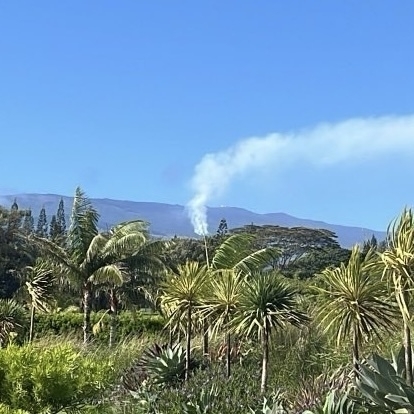A lush tropical landscape with various palm trees is set against a backdrop of hills, with a plume of smoke rising in the distance.