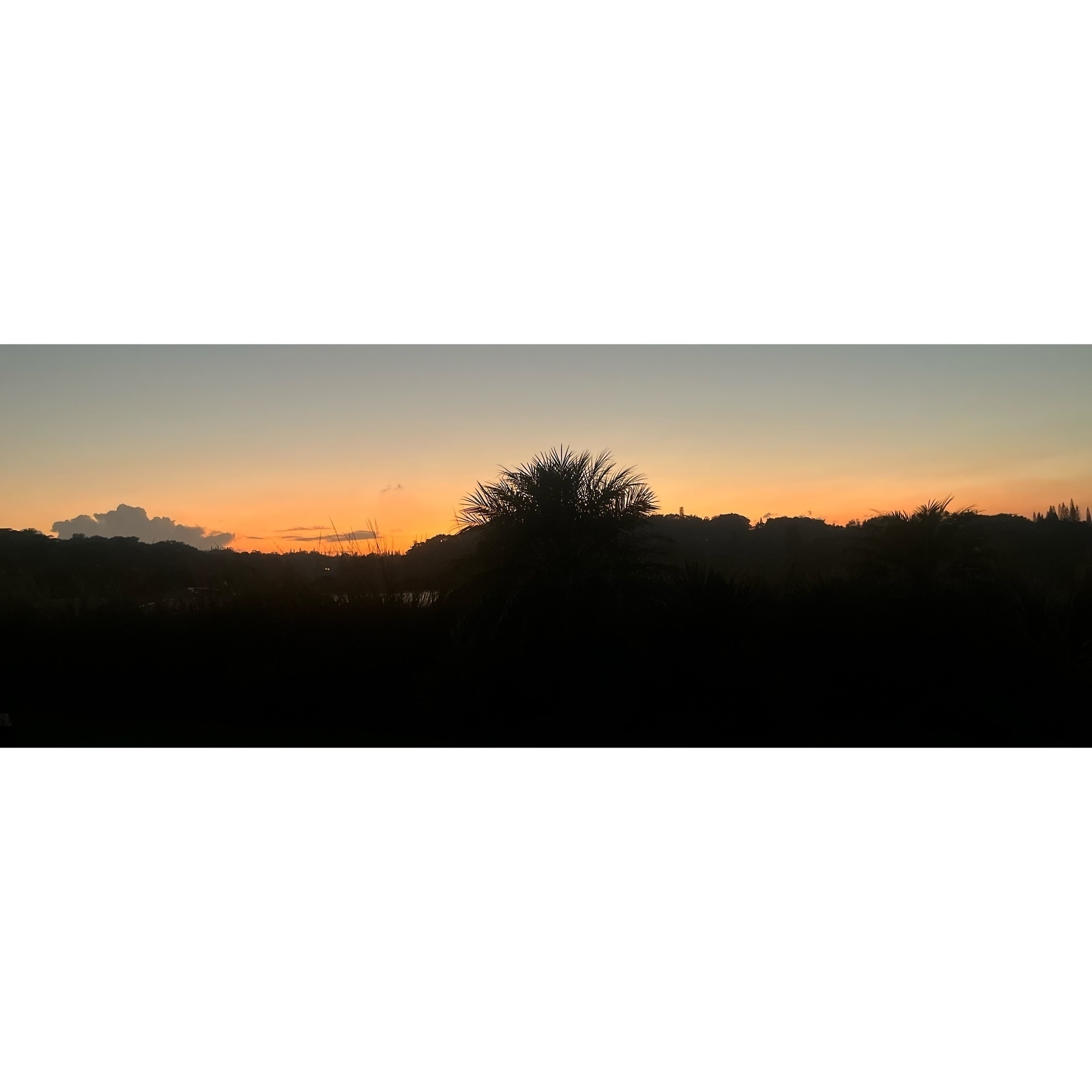 A red sky at sunset with the silhouette of vegetation in the foreground.