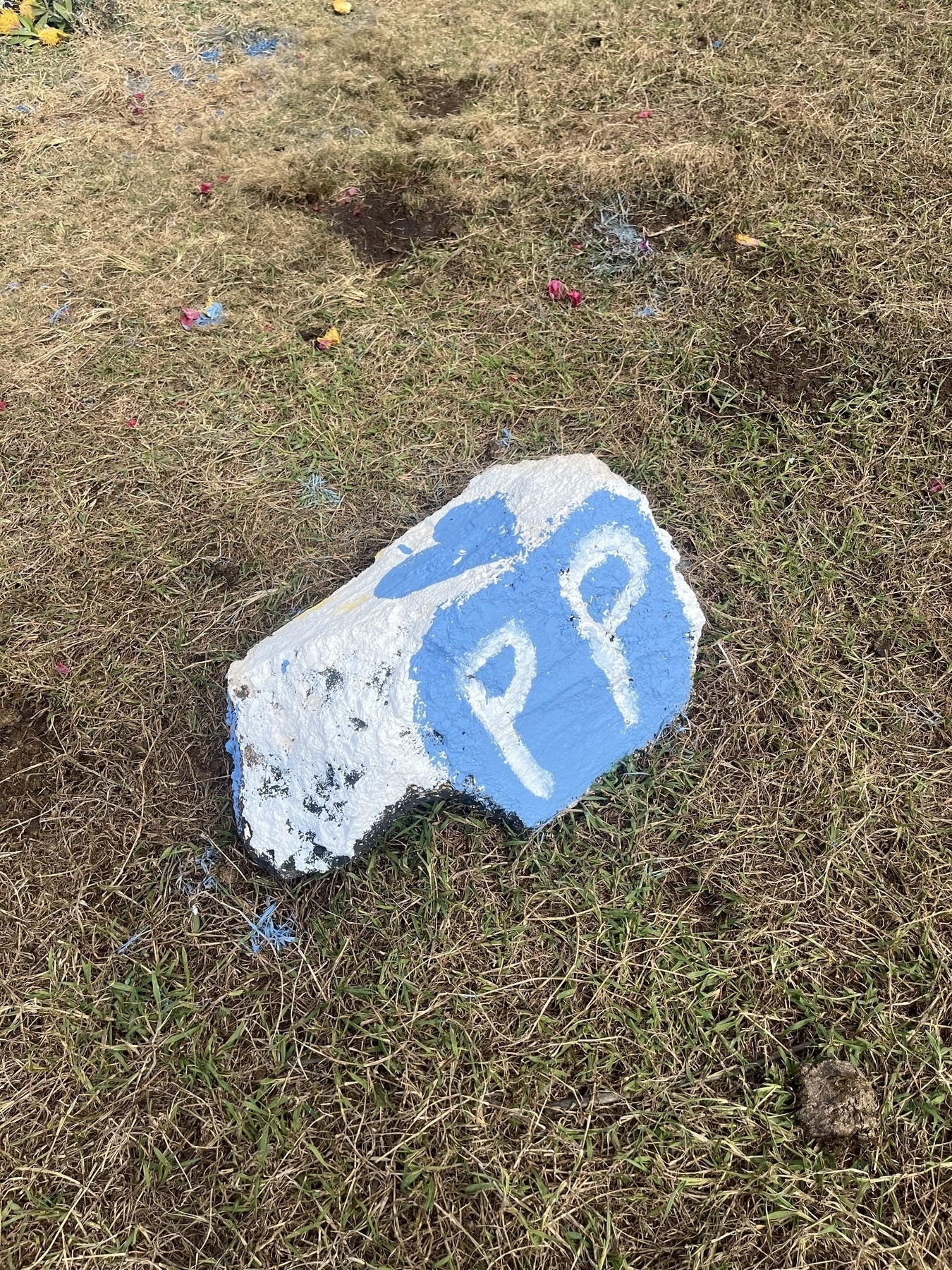 A rock painted white with blue letters PP